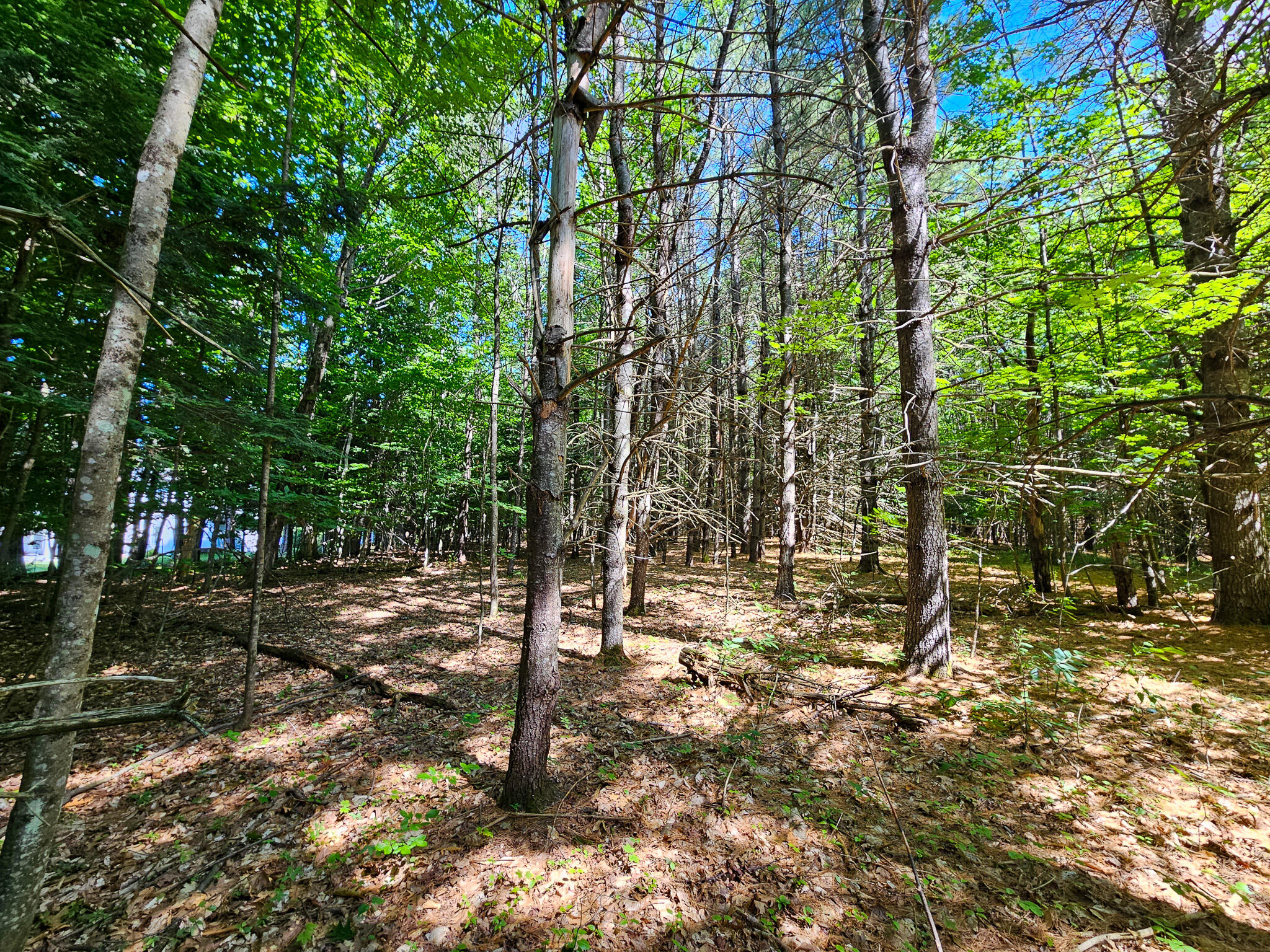 11-31-C Stone Hill Road, Farmington, ME, 04938