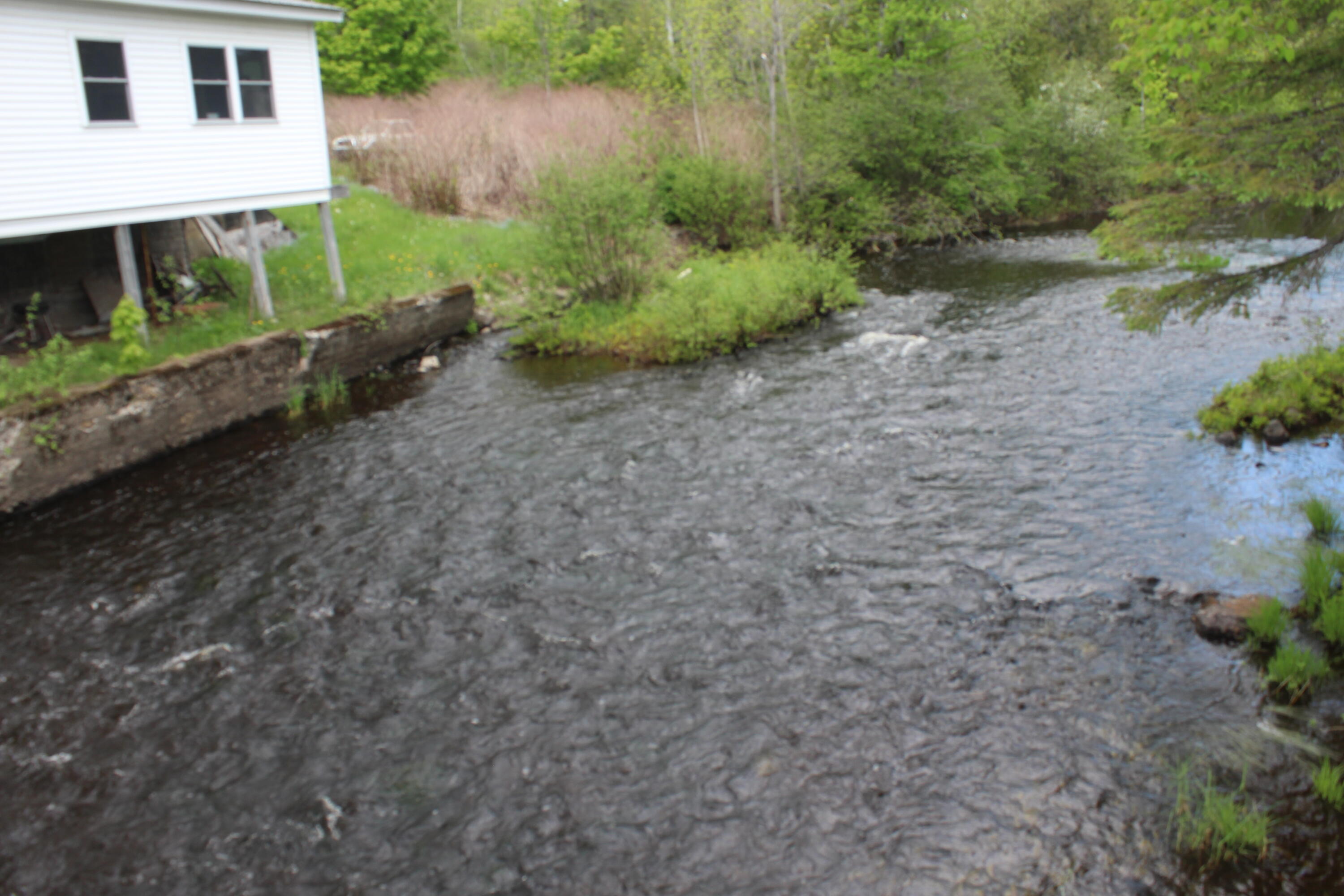 fish on the river on Molunkus