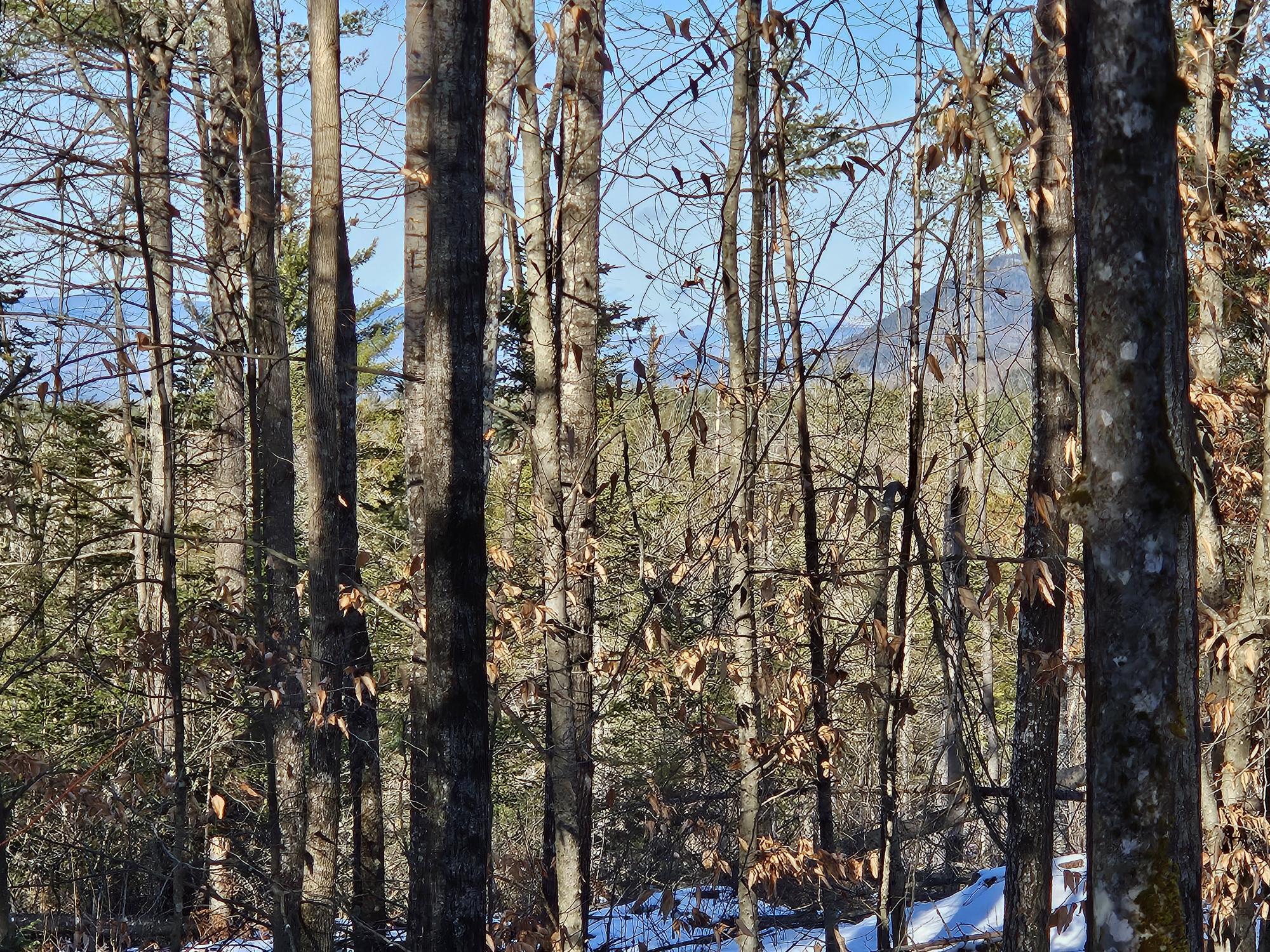 0 High Street, Peru, ME, 04290