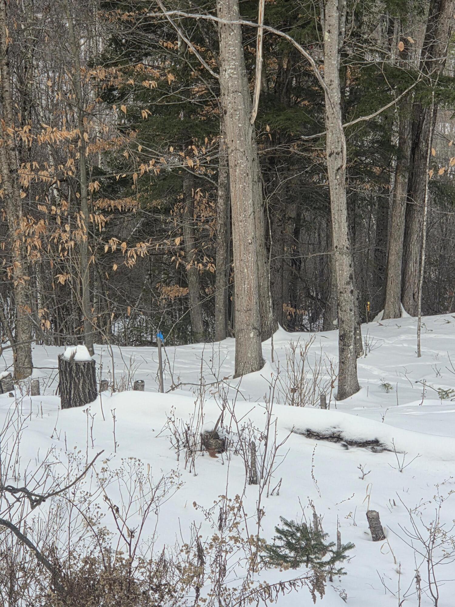 22 E Dixfield Road, Dixfield, ME, 04224