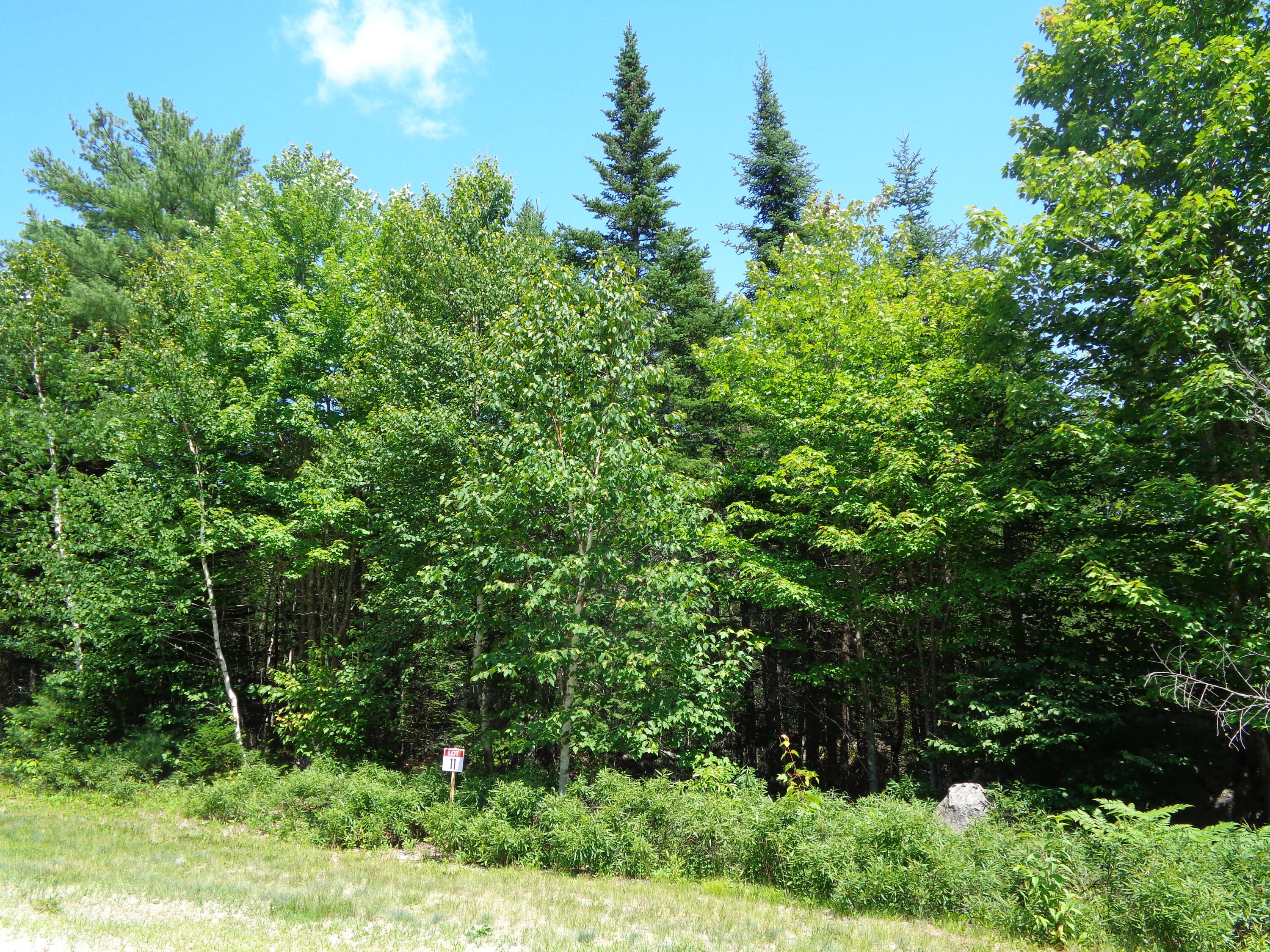Photo of Lot 11 Bailey Mountain Road Franklin ME 04634