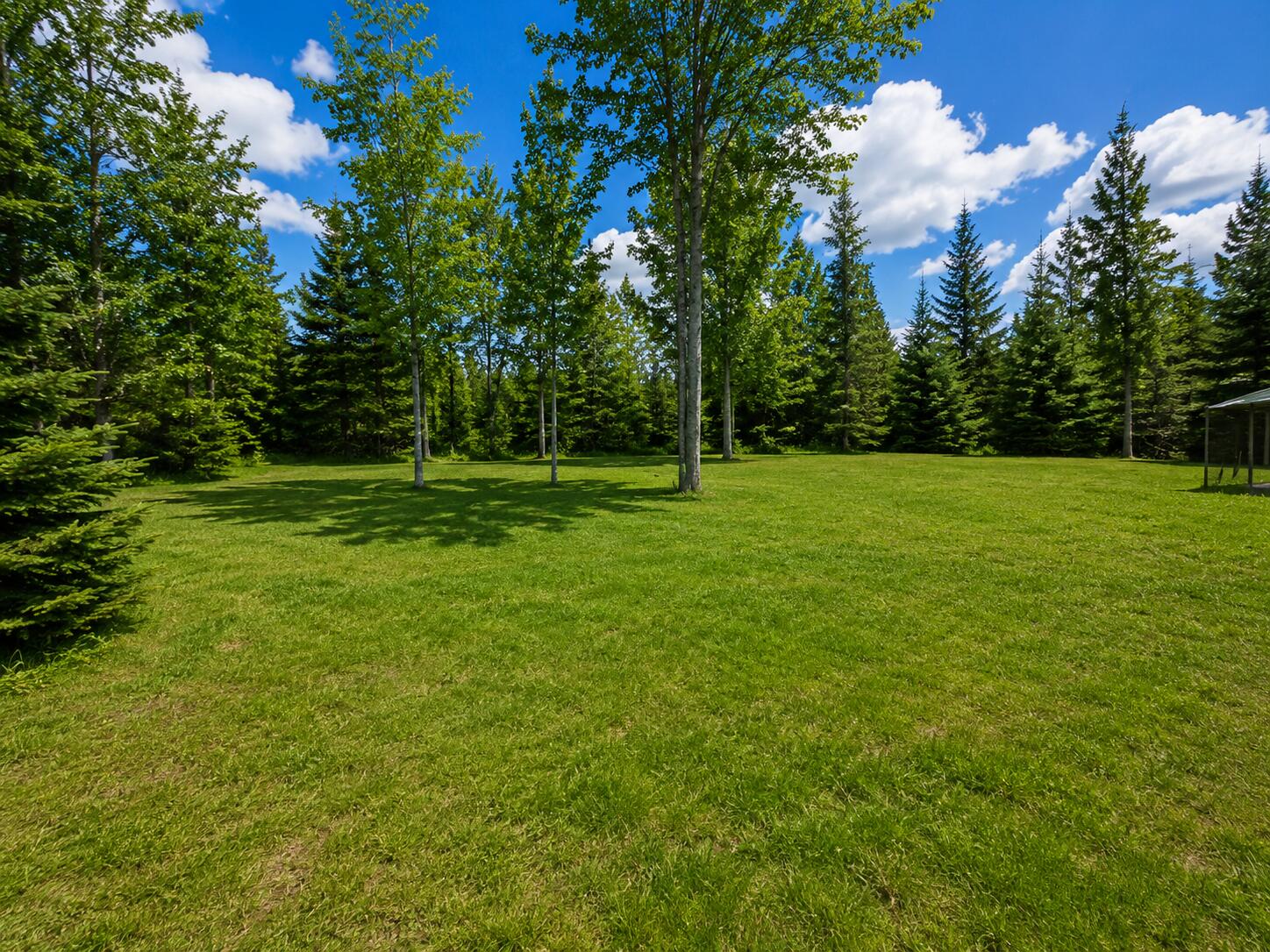 Side yard