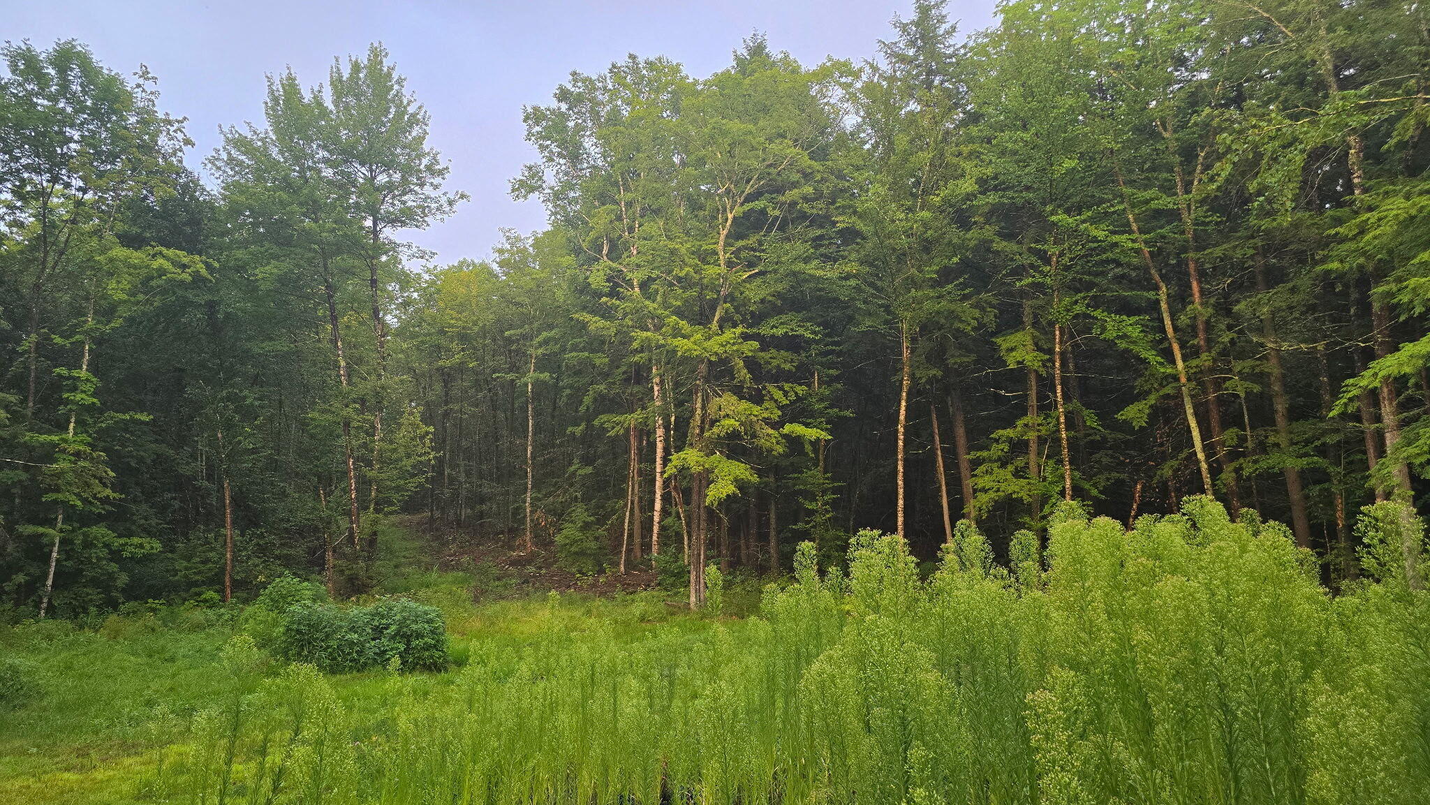 49 W Lake Drive, Monmouth, ME 04259 20260803_193638