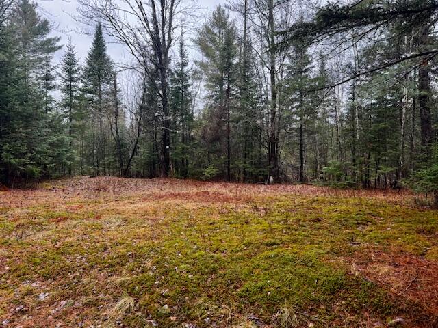 SO 001 Plan 2 Lot 16.1 Long Falls Dam Road, Lexington Twp, ME, 04961