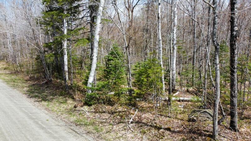 2029 Fox Hollow Road, Carrabassett Valley, ME, 04947