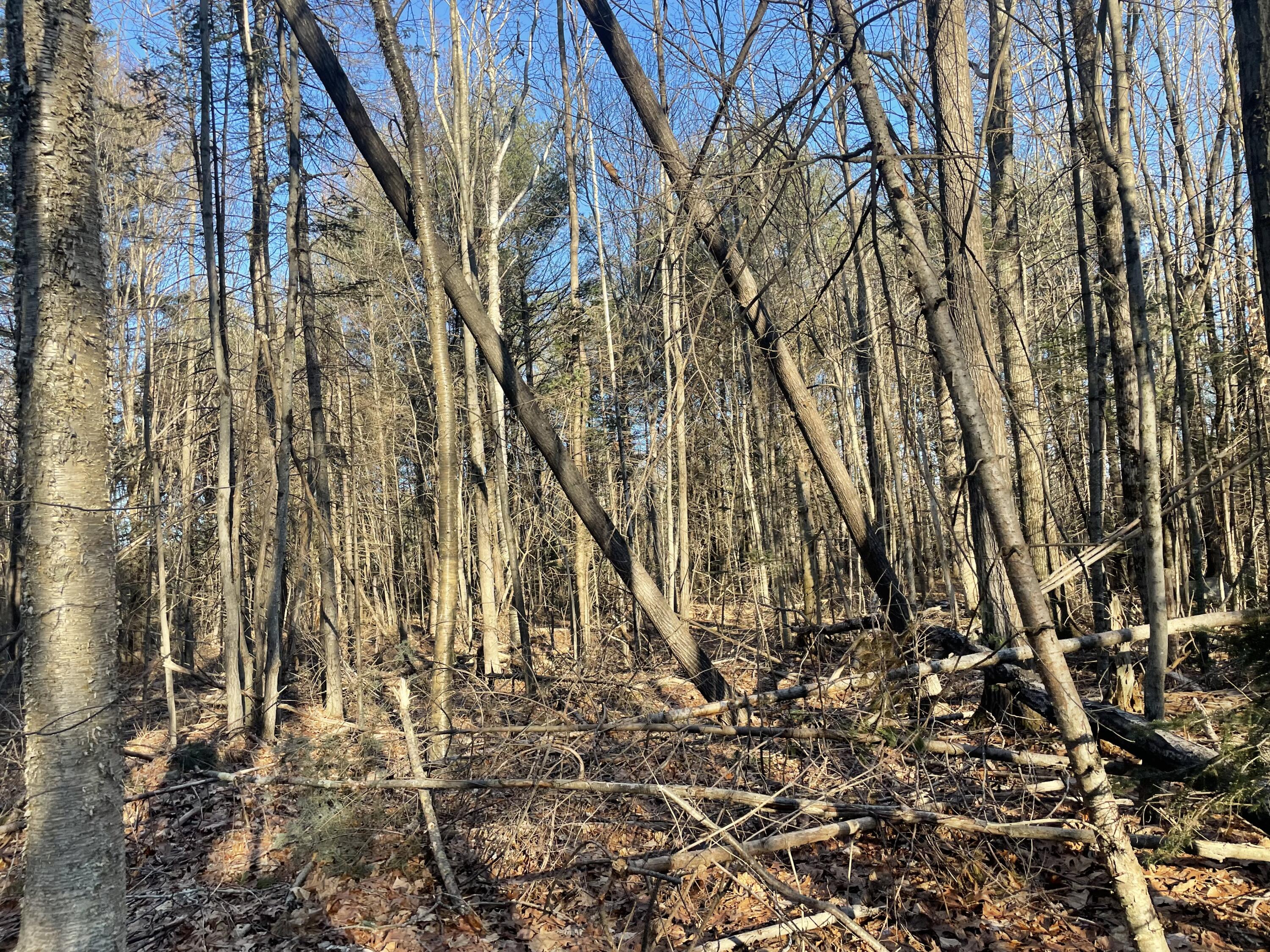 0 Cross Street, Manchester, ME, 04351