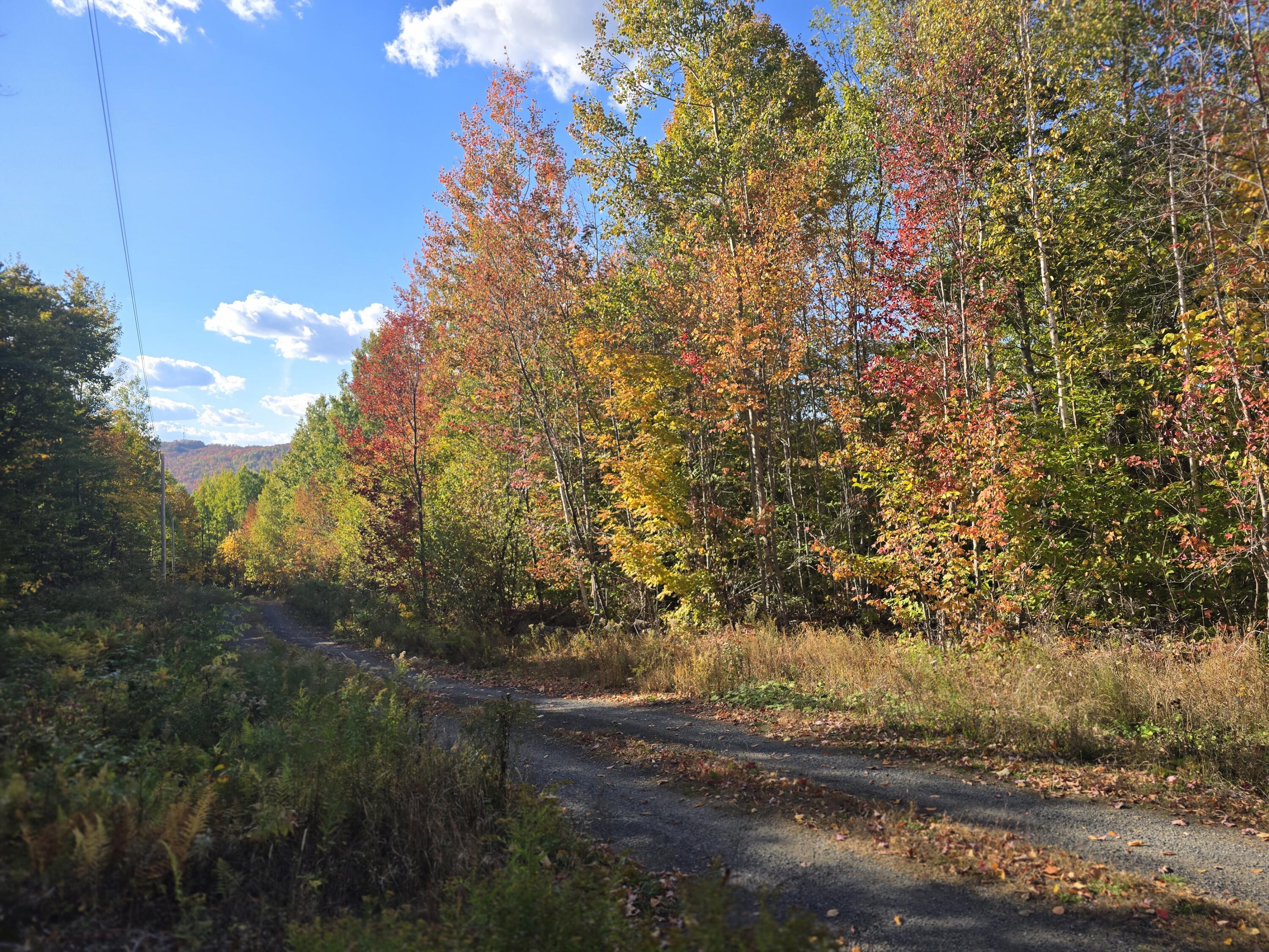 Lot 21 Red Granite Road, Island Falls, ME, 04747