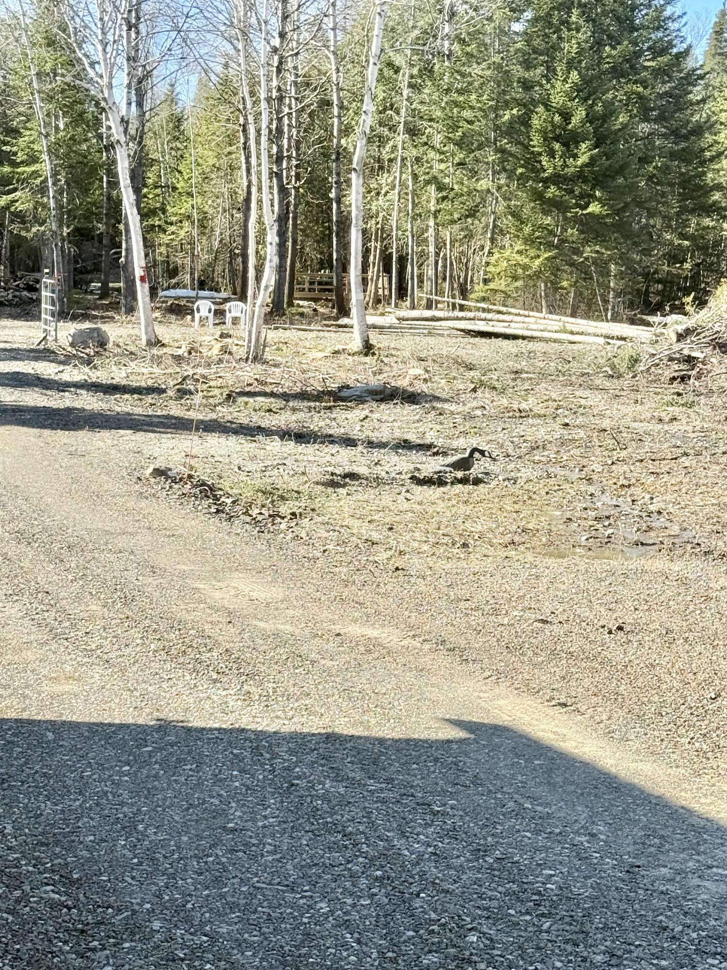 112 Sinclair Road, Sinclair, ME, 04779