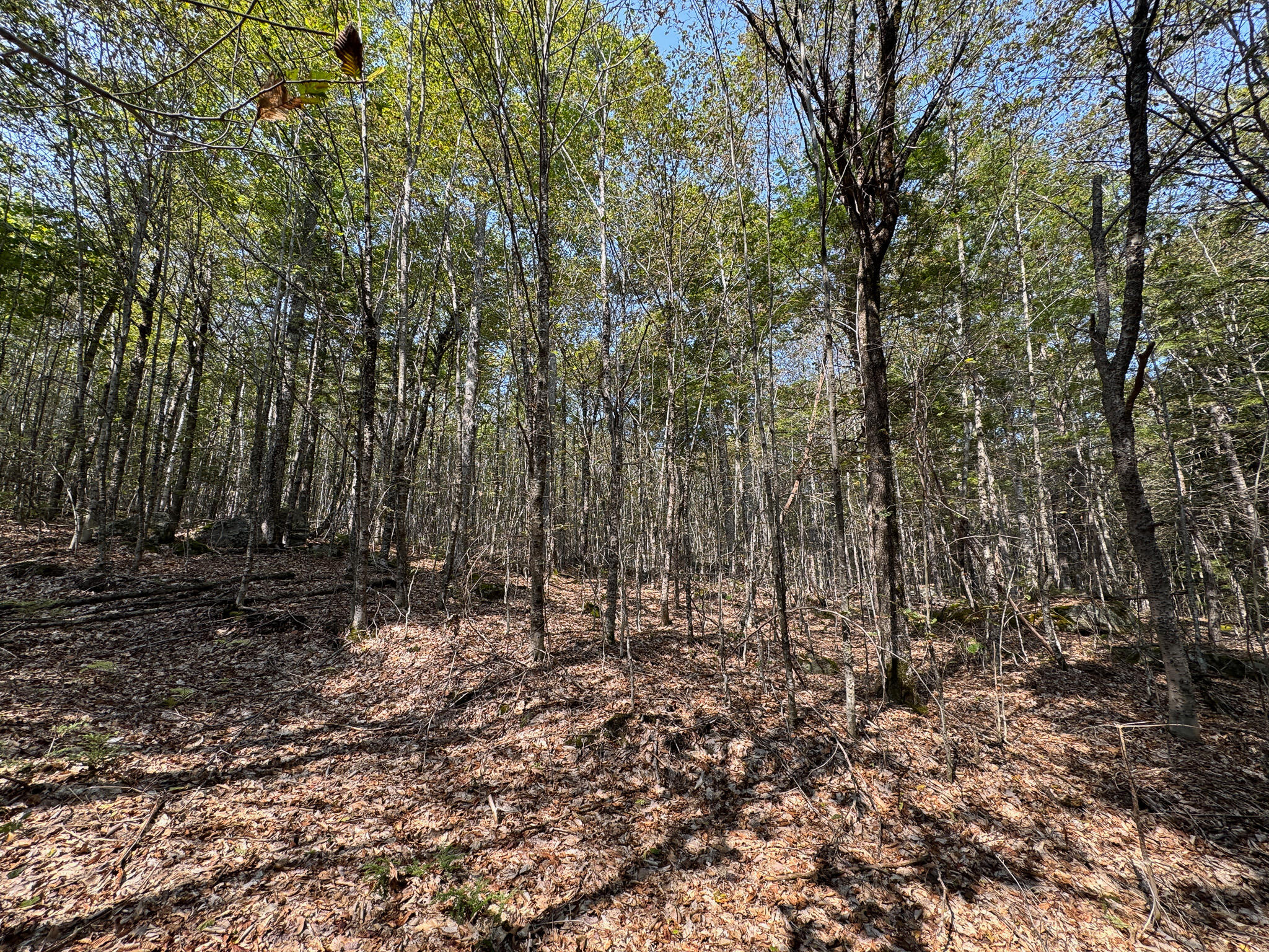 P/O M29L23 Bluff Road, Enfield, ME, 04493