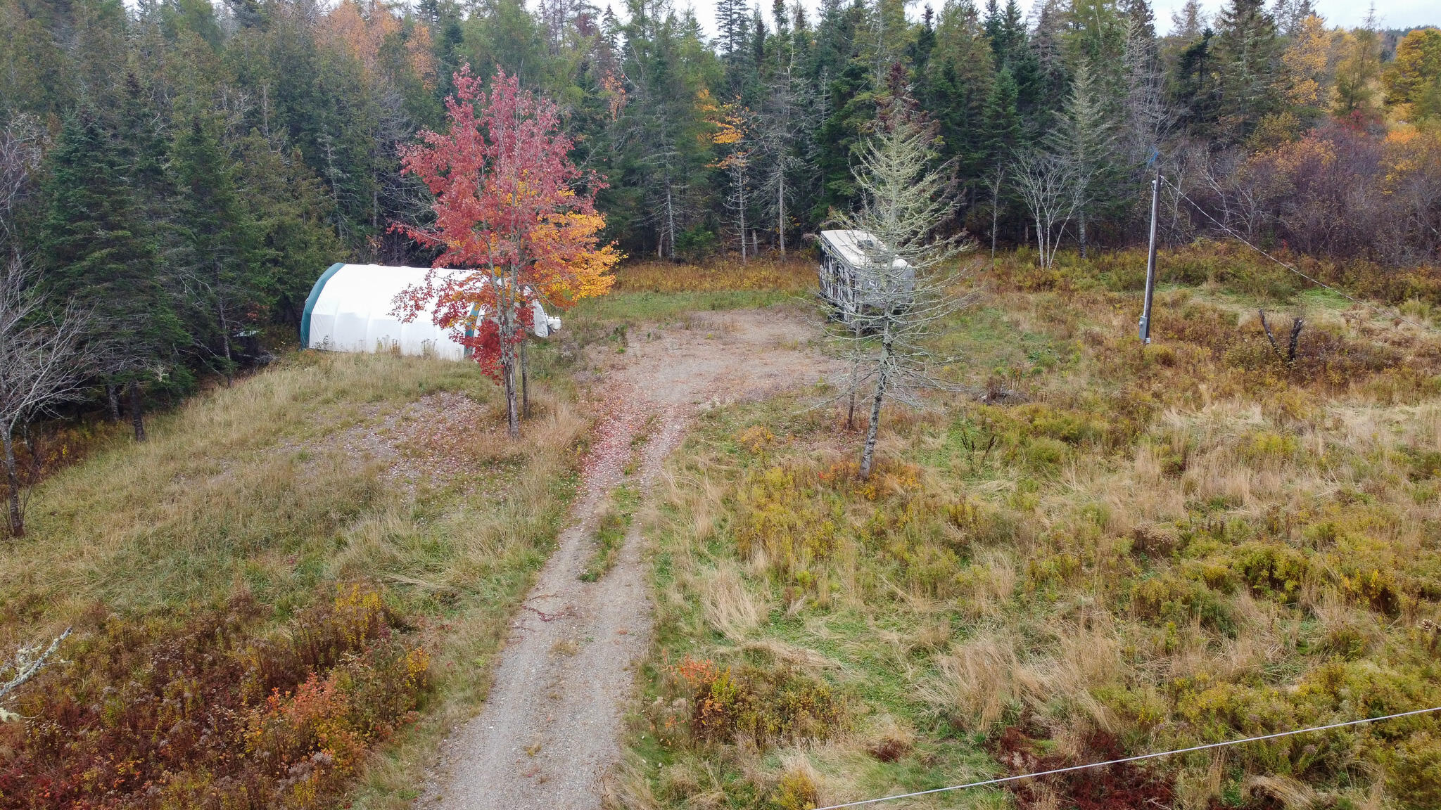 M3L19 Off Cross Road, Dennysville, ME, 04628