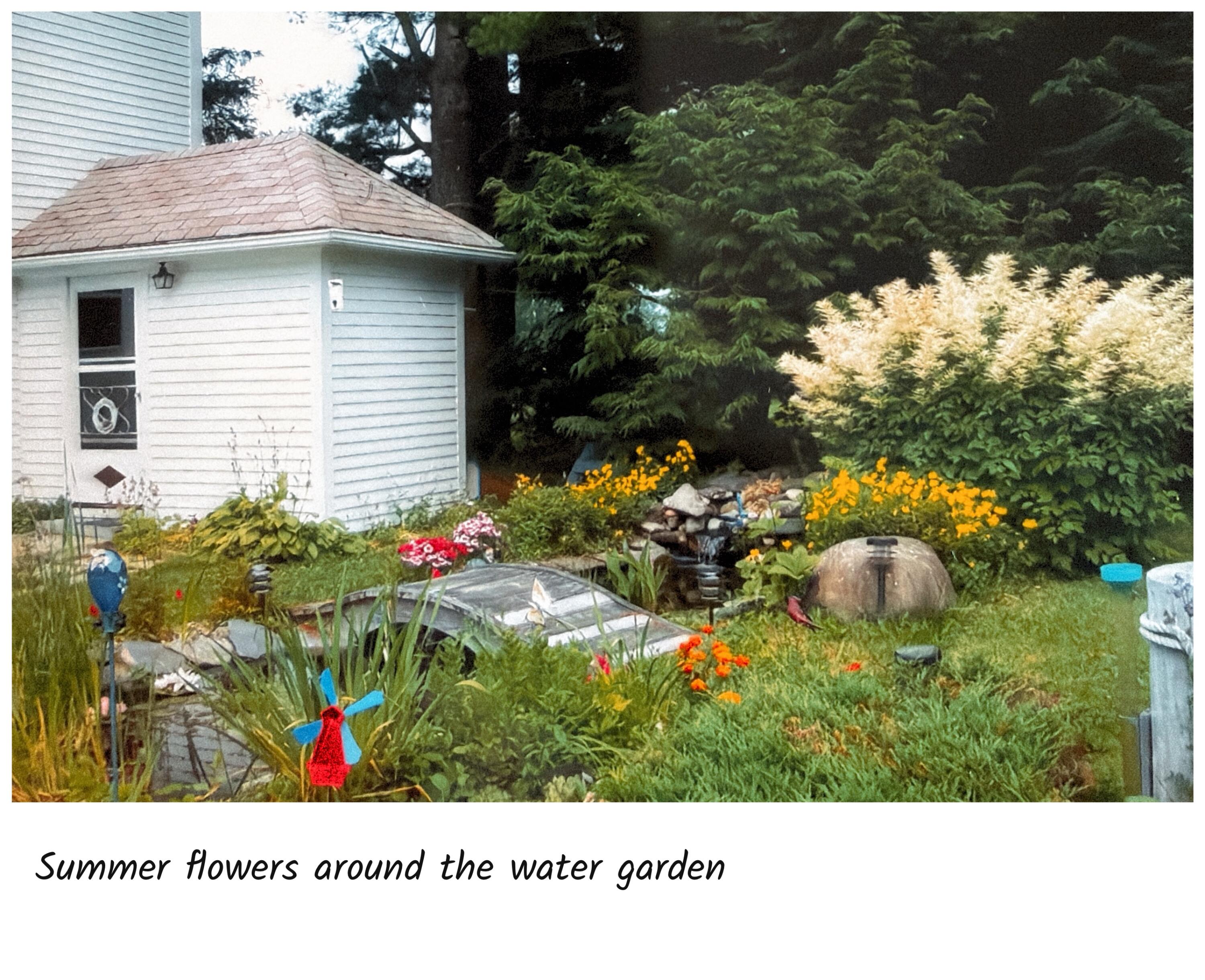 property-listing-images