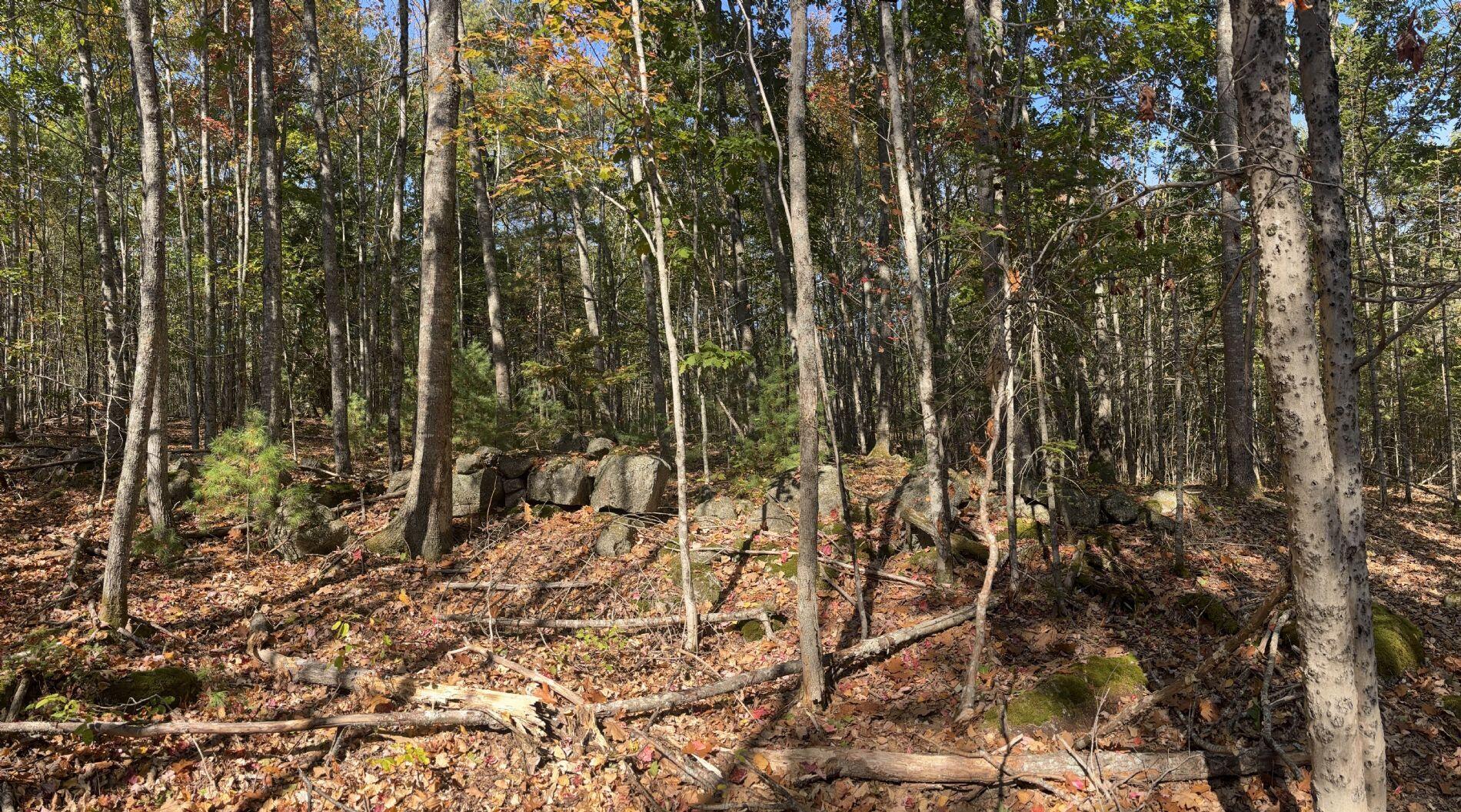 150 Bowden Point Road, Prospect, ME, 04981