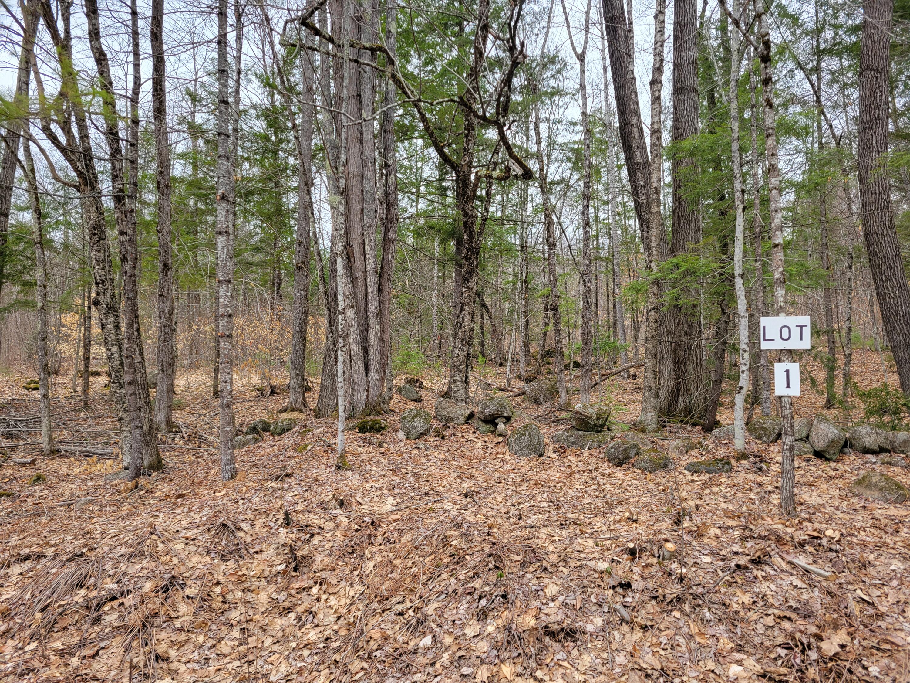 Lot UNIT&nbsp;1 W West Fryeburg Road, Fryeburg, ME, 04037