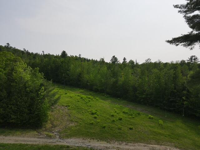 Lot 11 Mt. Jefferson Heights, Lee, ME, 04455