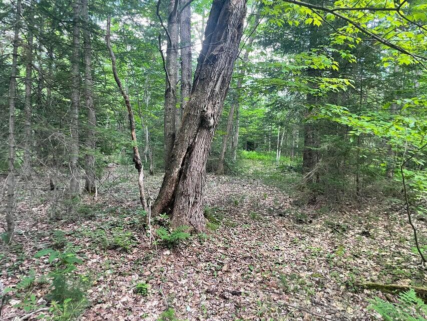 80 Gammon Road, Peru, ME, 04290