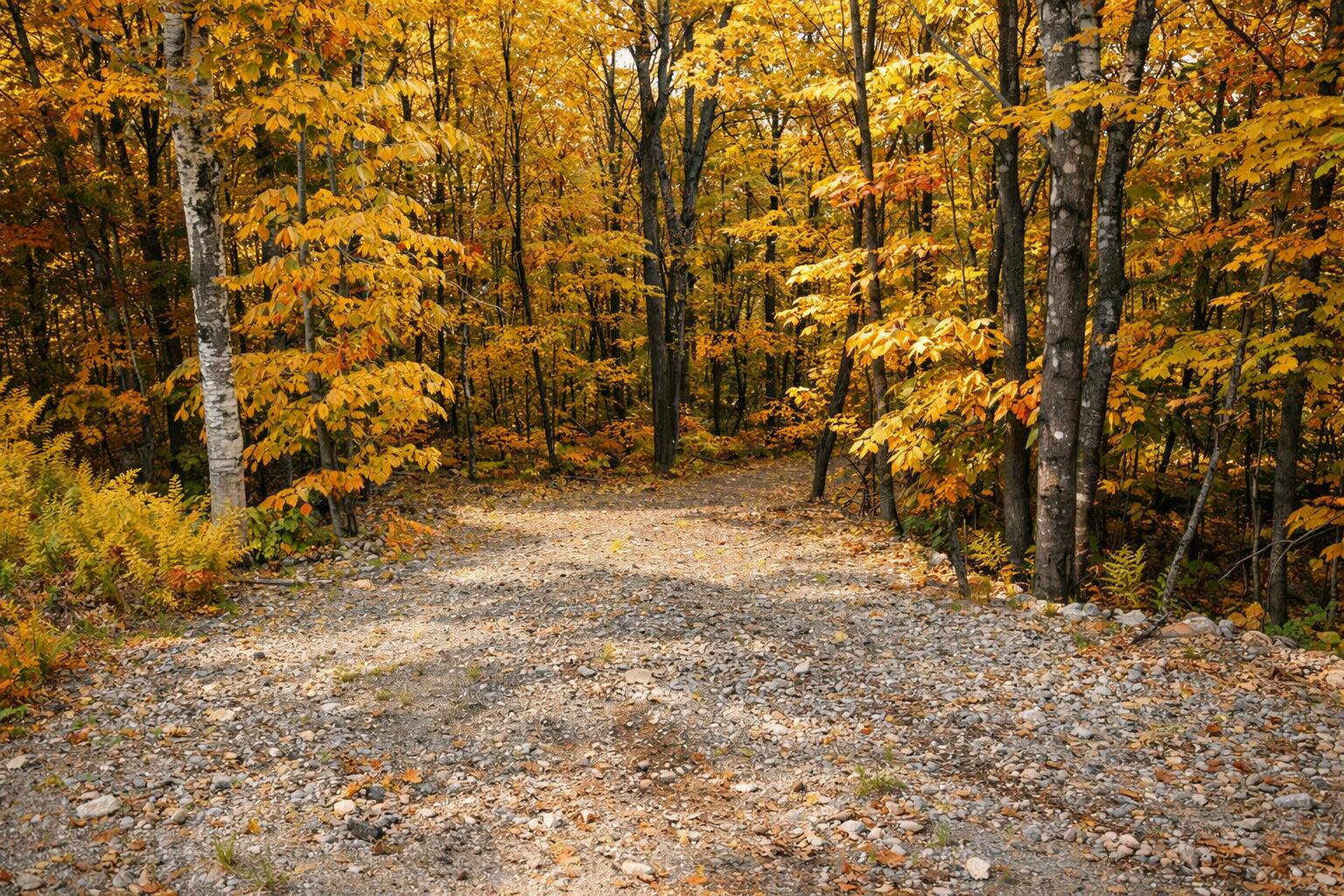 Lot 01-63 Ira Mountain Road, Kingfield, ME, 04947