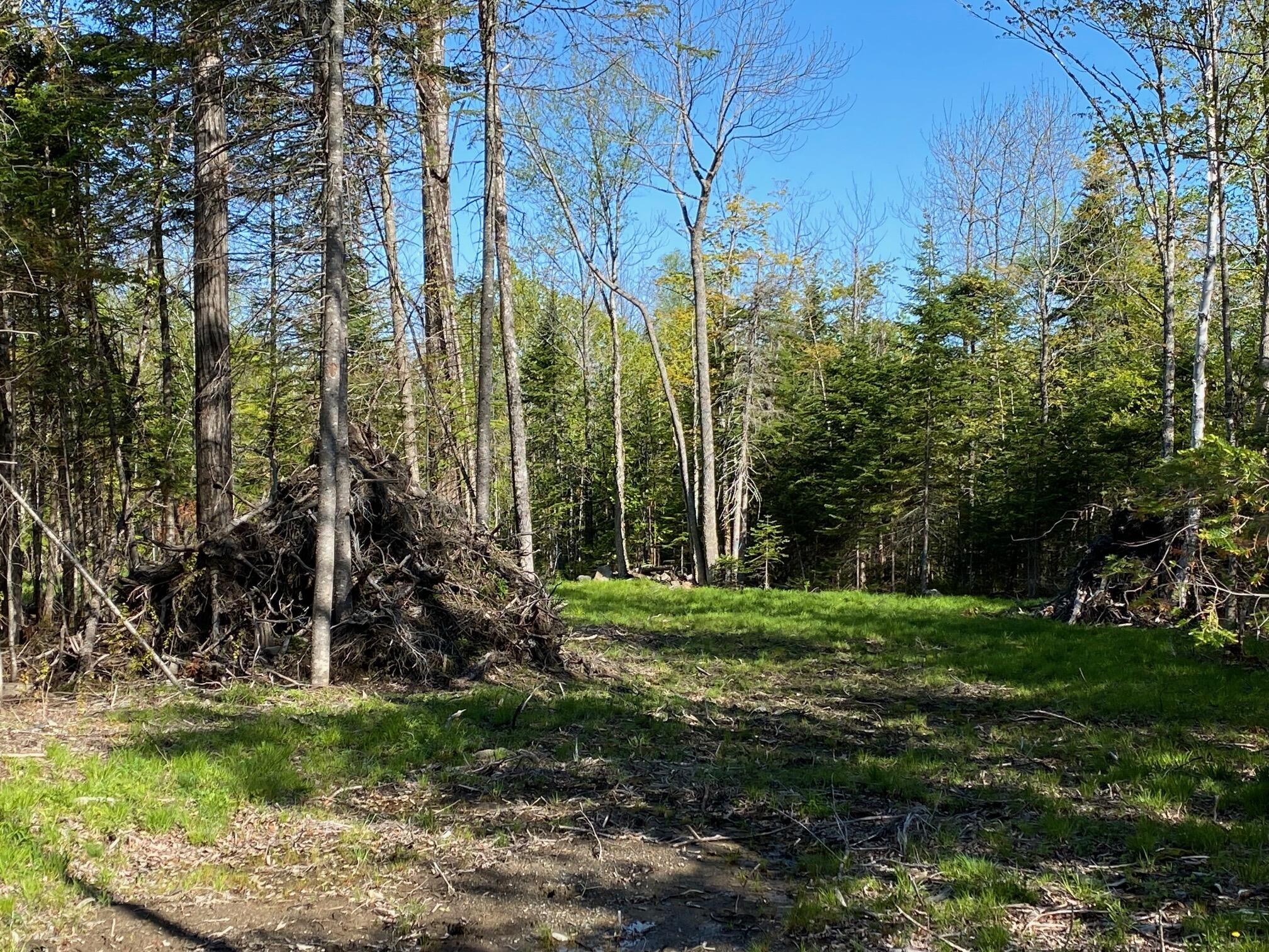 Lot 02-A-3 Long Island, Blue Hill, ME, 04614