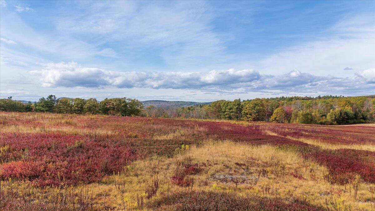 423 Beech Hill Road, Northport, ME, 04849