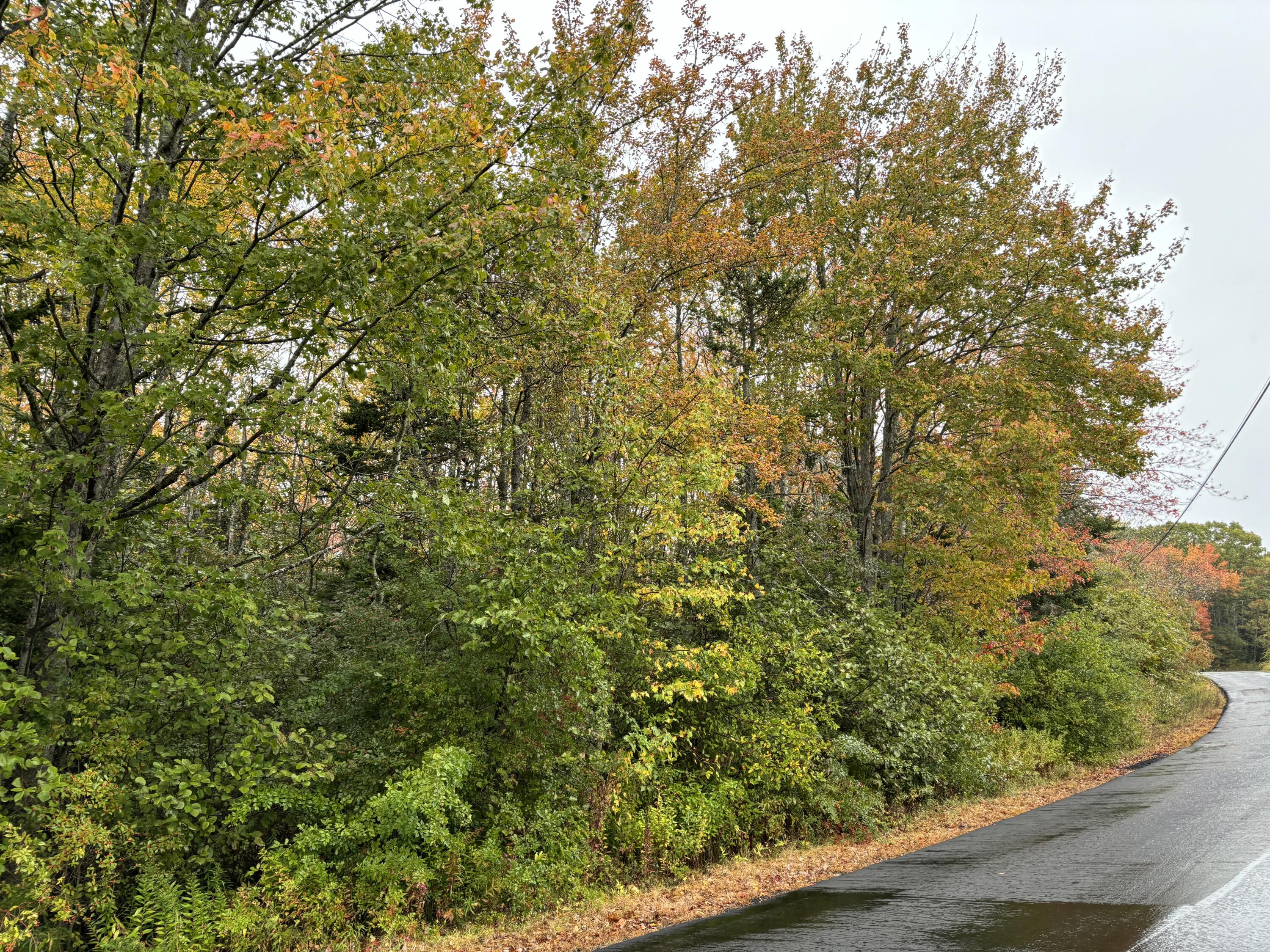 253 Hathorne Point Road, Cushing, ME, 04563