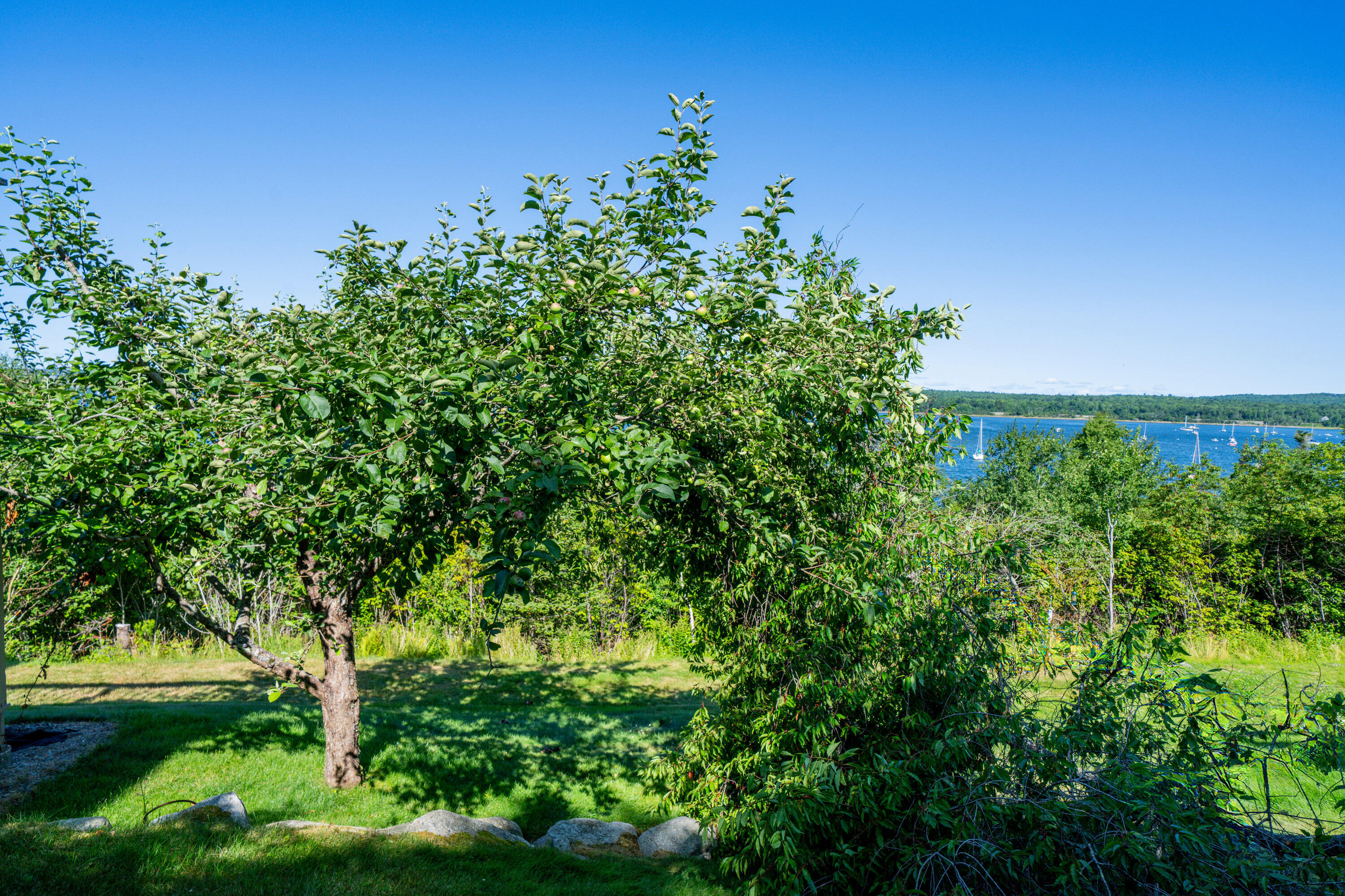 12 Harbor View Drive, #12, Stockton Springs, ME 04981 4629