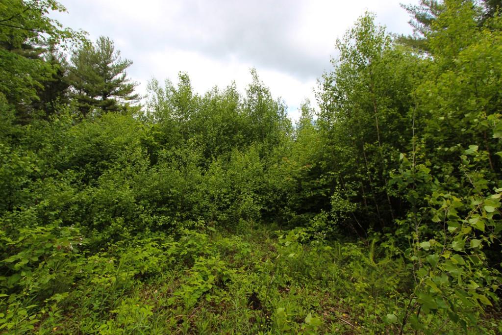 00 Cross Street, Greenwood, ME, 04255