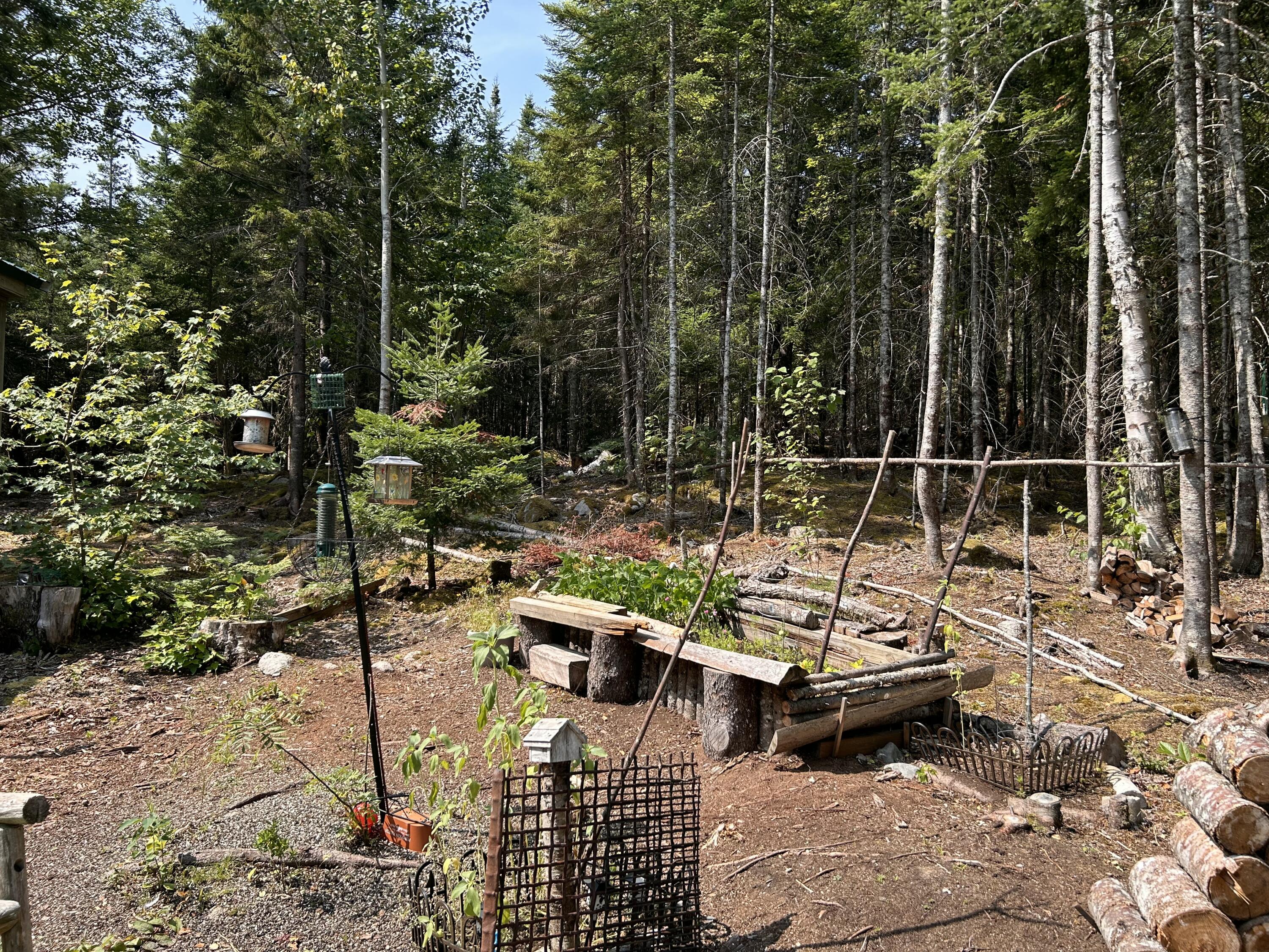 31 Sportsmen's Lodge Road, Marshfield, ME, 04654