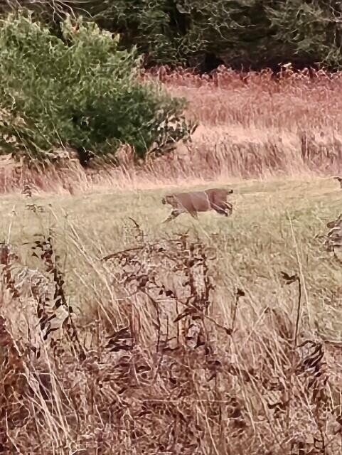 38 Kuvaja Road, Greenwood, ME, 04255