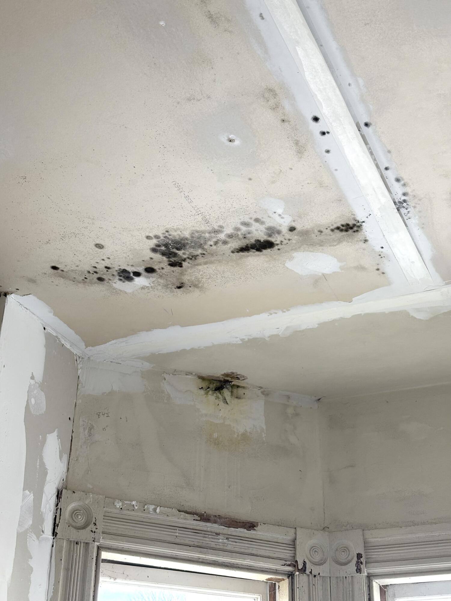 72 Washington Street, Eastport, ME, 04631