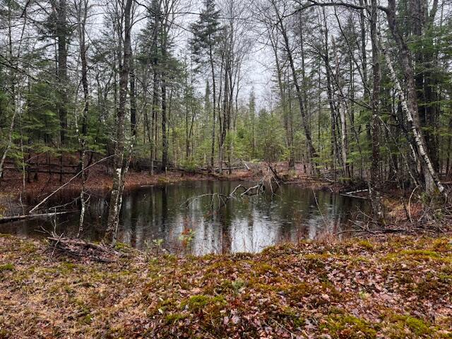 SO 001 Plan 2 Lot 16.1 Long Falls Dam Road, Lexington Twp, ME, 04961