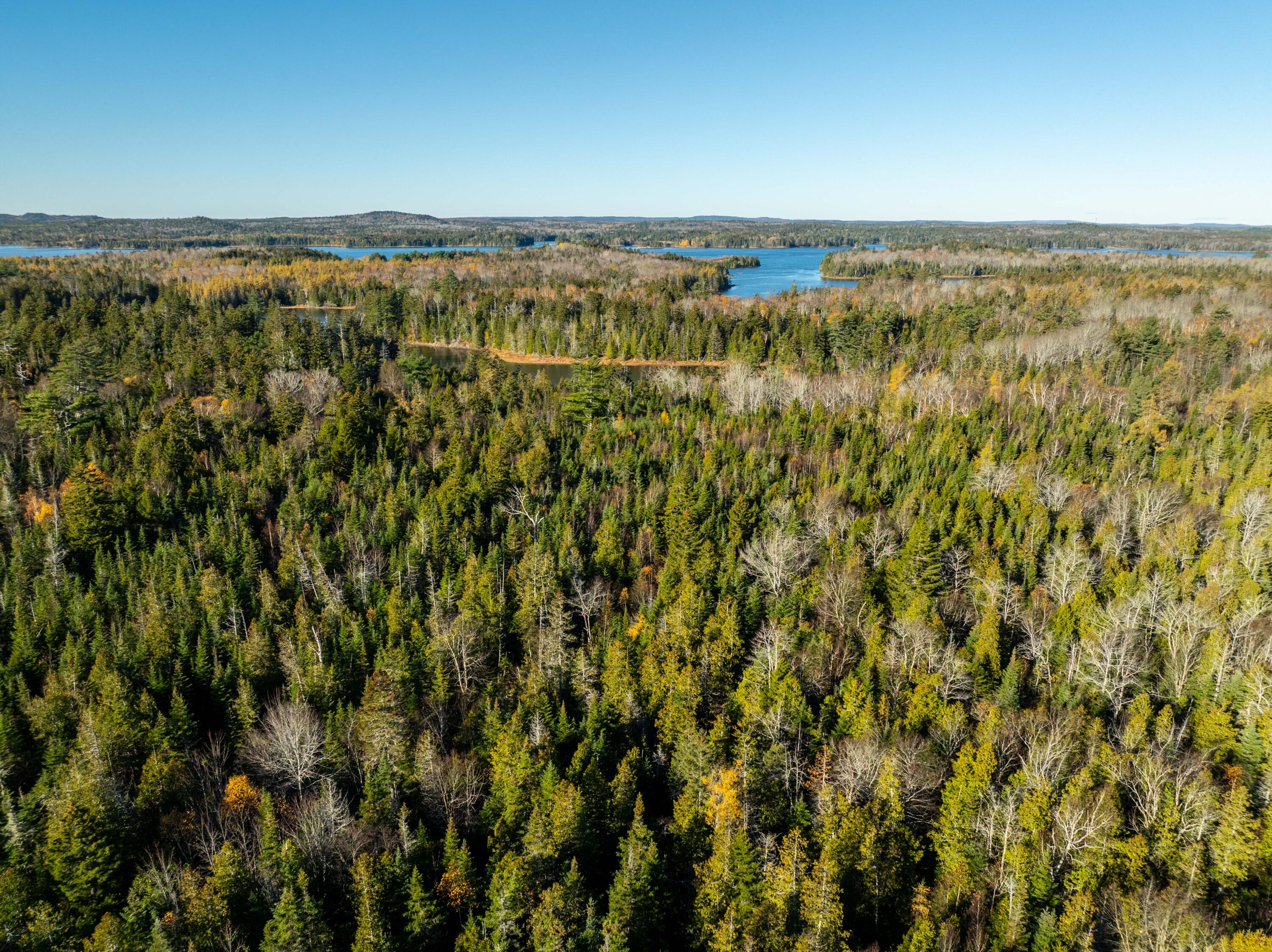 01-4 WA035, Trescott Twp, ME, 04652