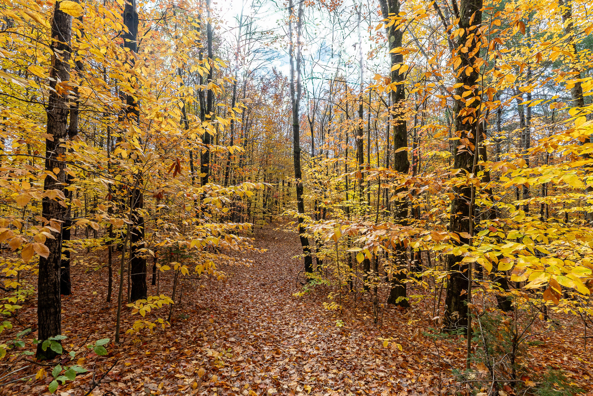 264 Day Mountain Road, Temple, ME, 04984
