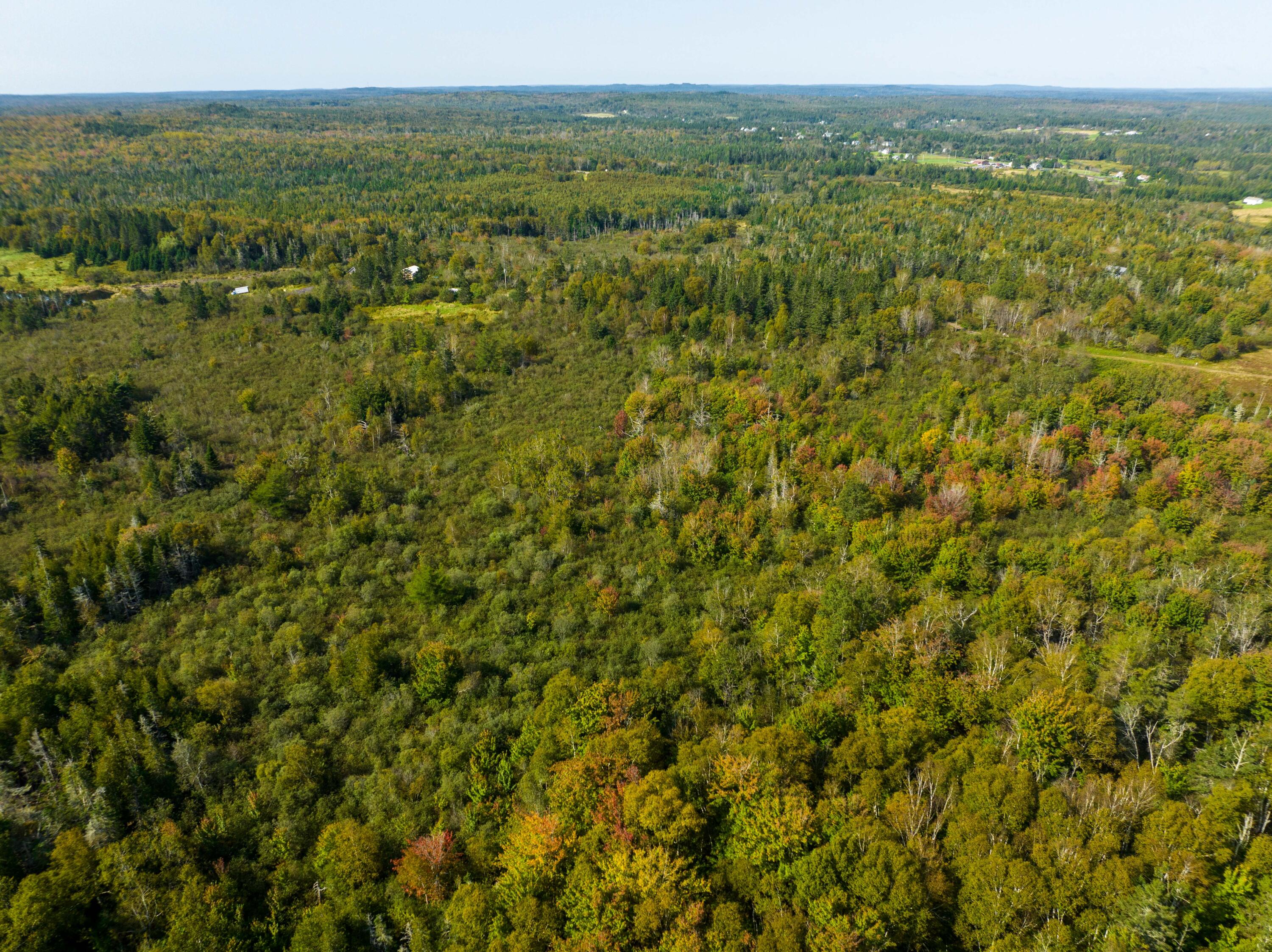 117 Denbow Road, Lubec, ME, 04652