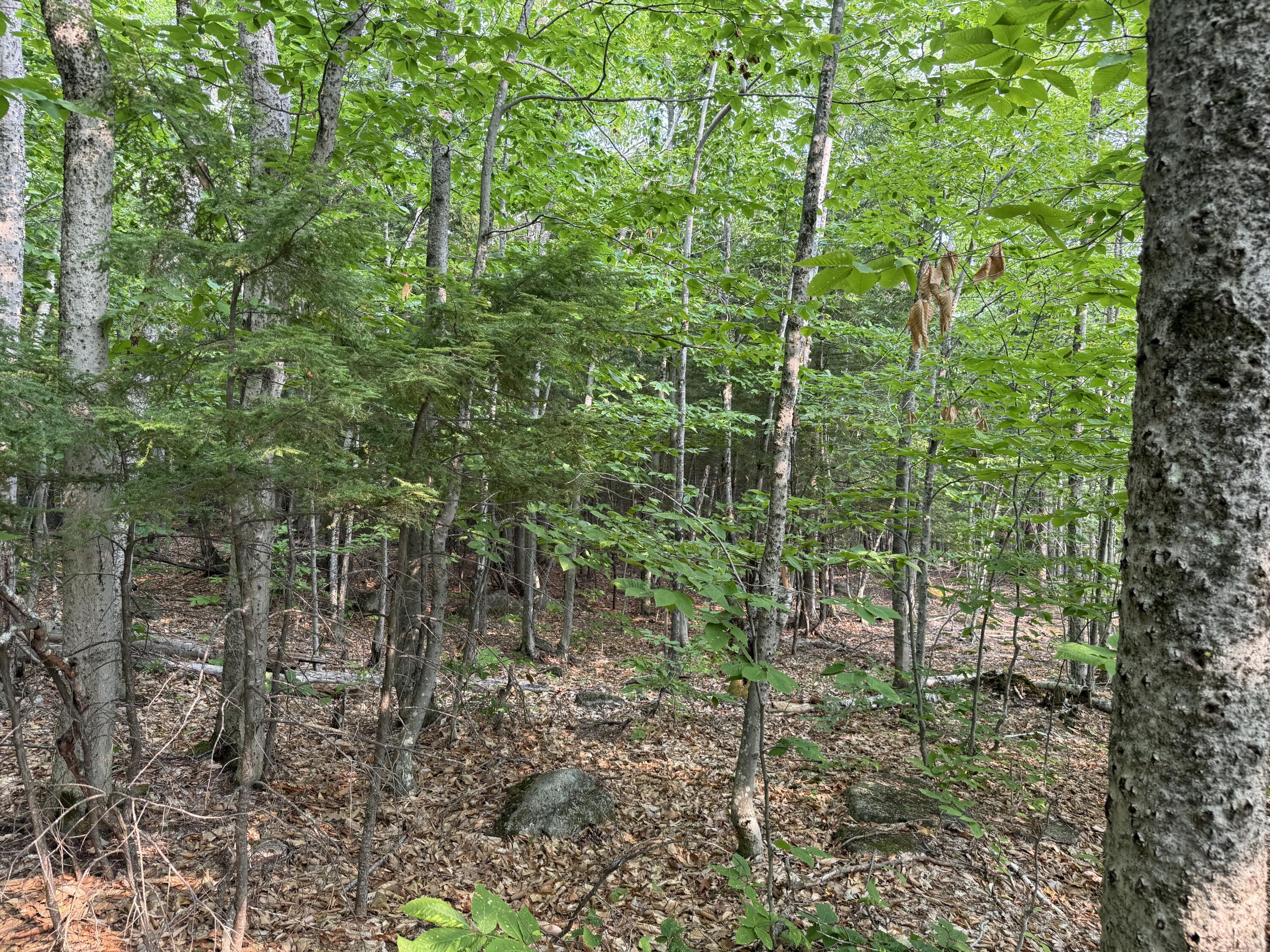 Lot 15-3B Sweden Road, Bridgton, ME, 04009