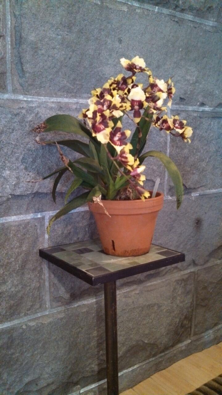 546 Main Street, Rockland, ME, 04841