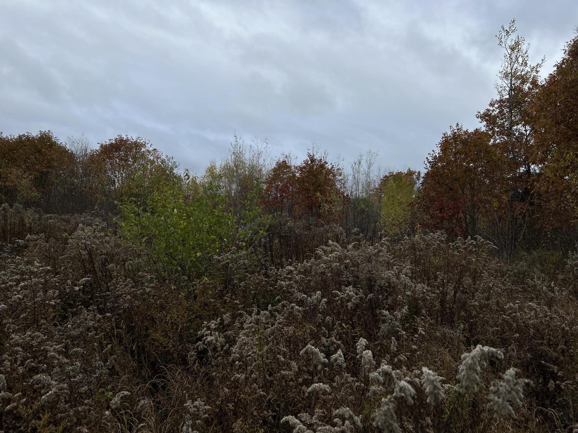 M4L18 Bog Road, Jackson, ME, 04921