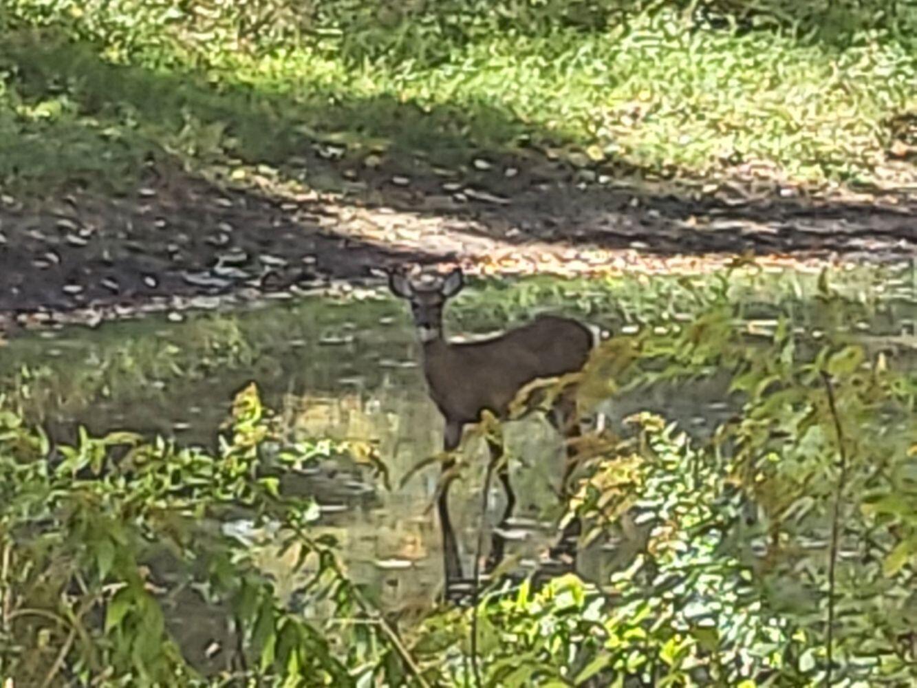 965 Industry Road, Farmington, ME, 04938