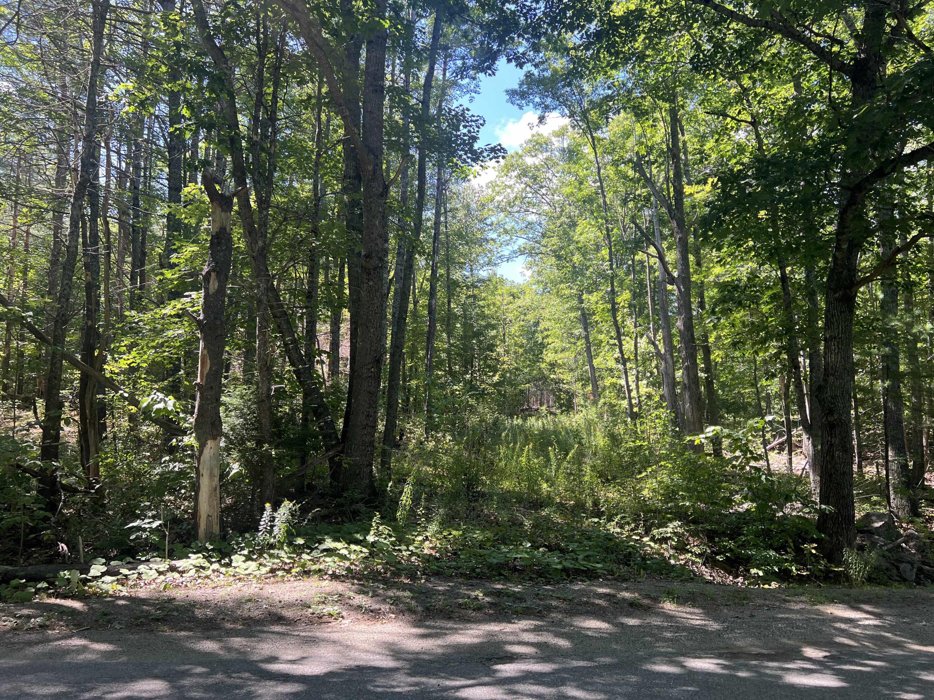 150 Bowden Point Road, Prospect, ME, 04981