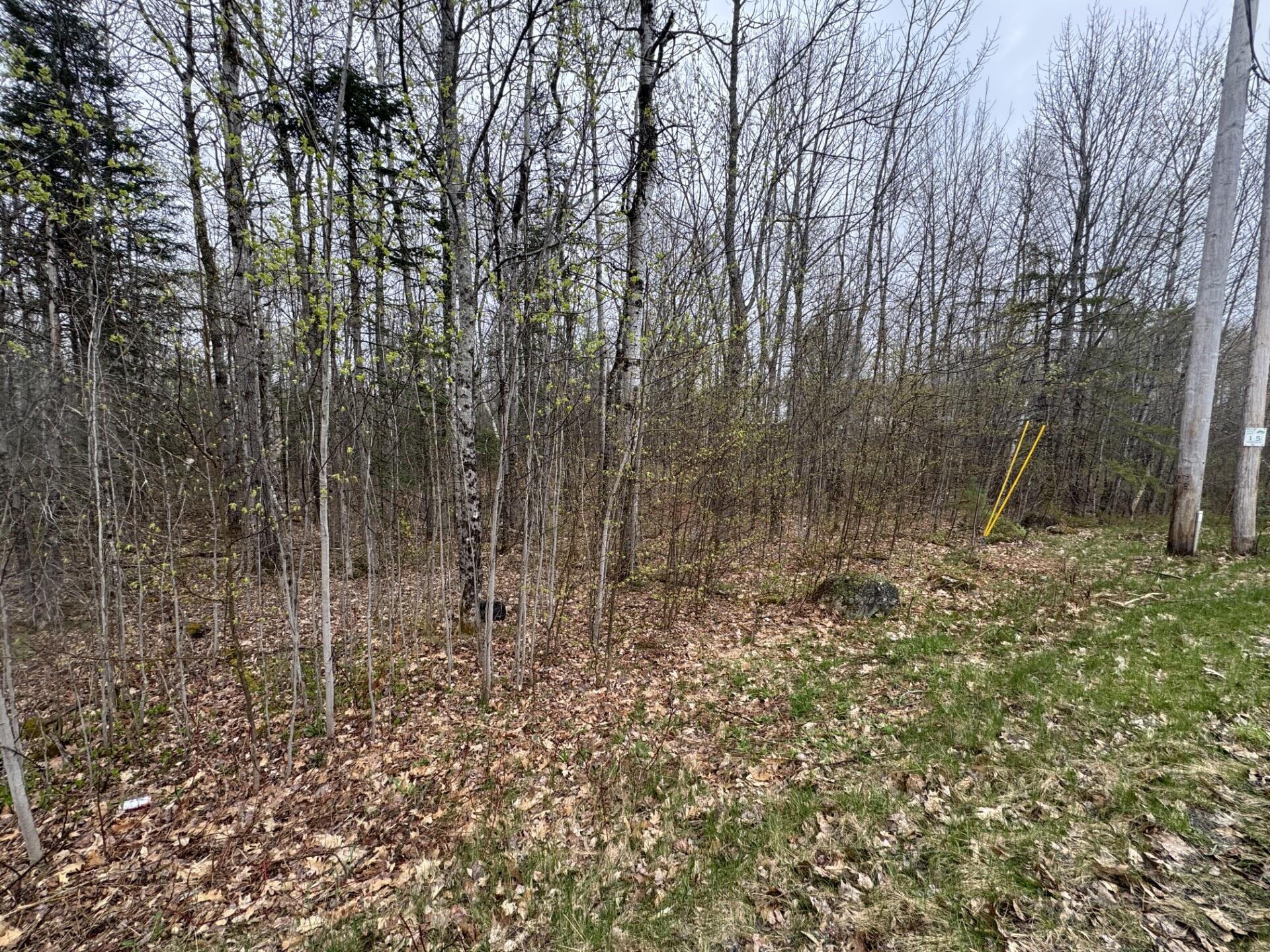 Lot 23 N Dixmont Road, Troy, ME, 04987 Lot 23 N Dixmont Road, Troy, ME, 04987