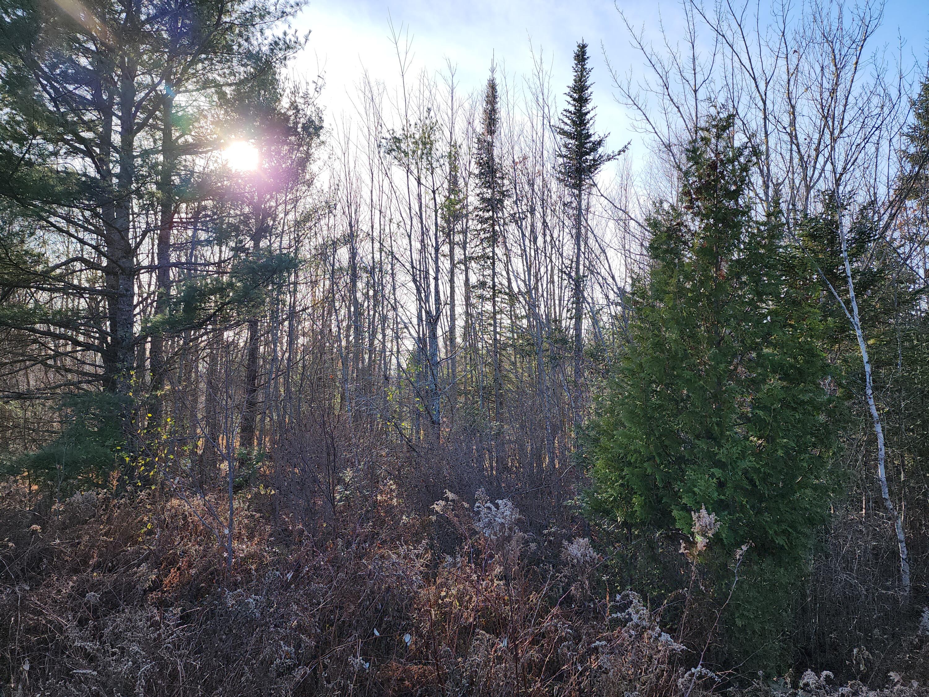 35 Trout Brook Lane, Searsport, ME, 04974