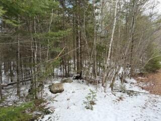 Lot 068002 Shore Road, Bremen, ME, 04551