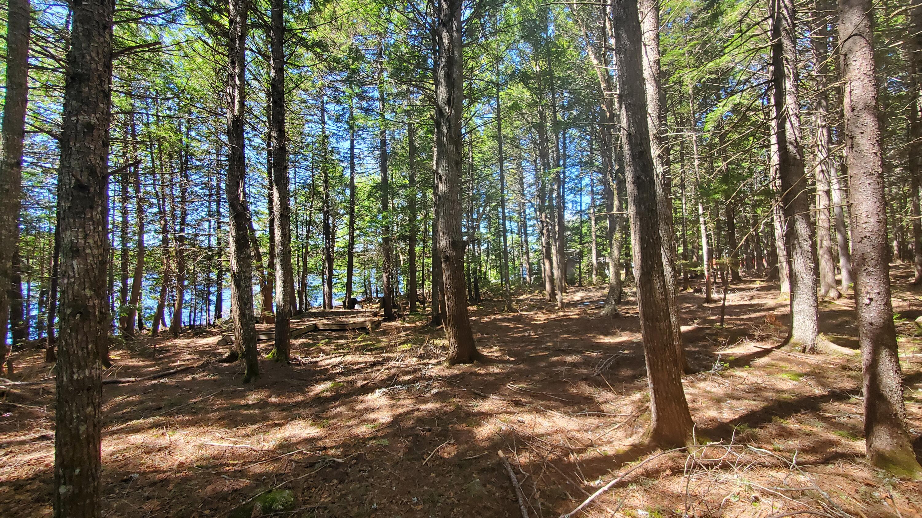 307 Lakeville Shores Road, Lakeville, ME, 04487