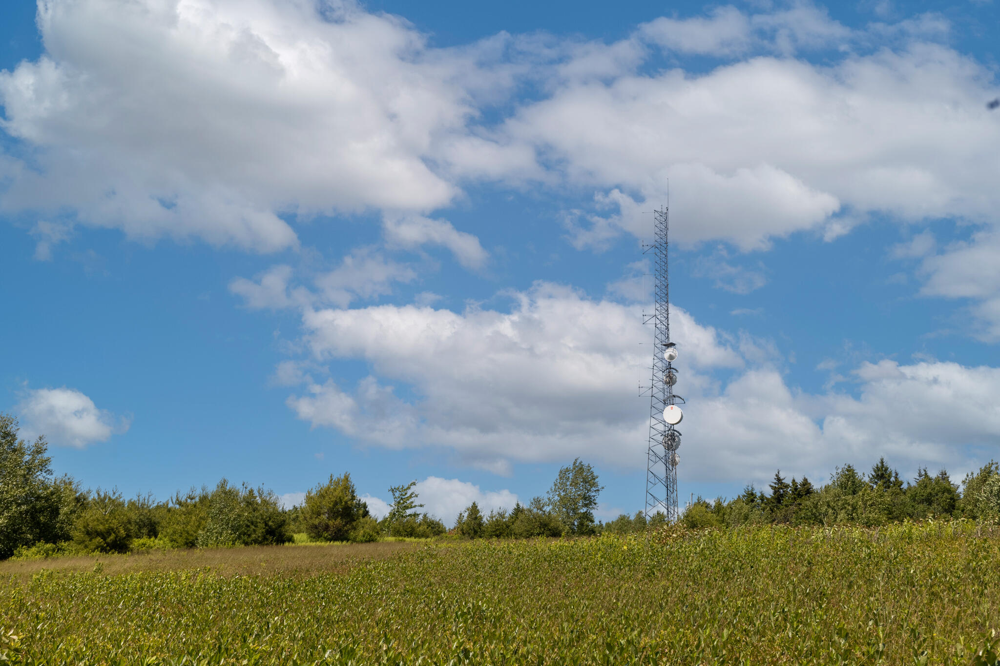 533 Mount Ephraim Map 4 Lot 63 Road, Searsport, ME, 04974