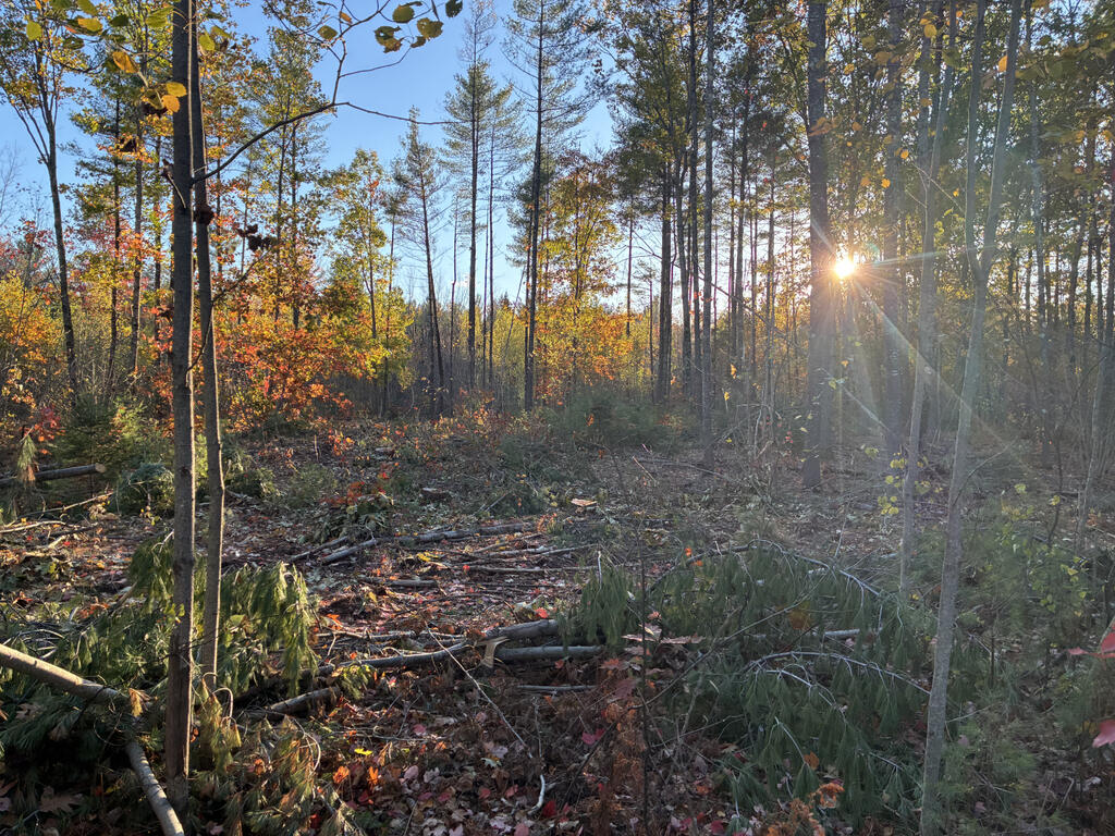 Lot 16 (1) Whittier Road, Farmington, ME, 04938