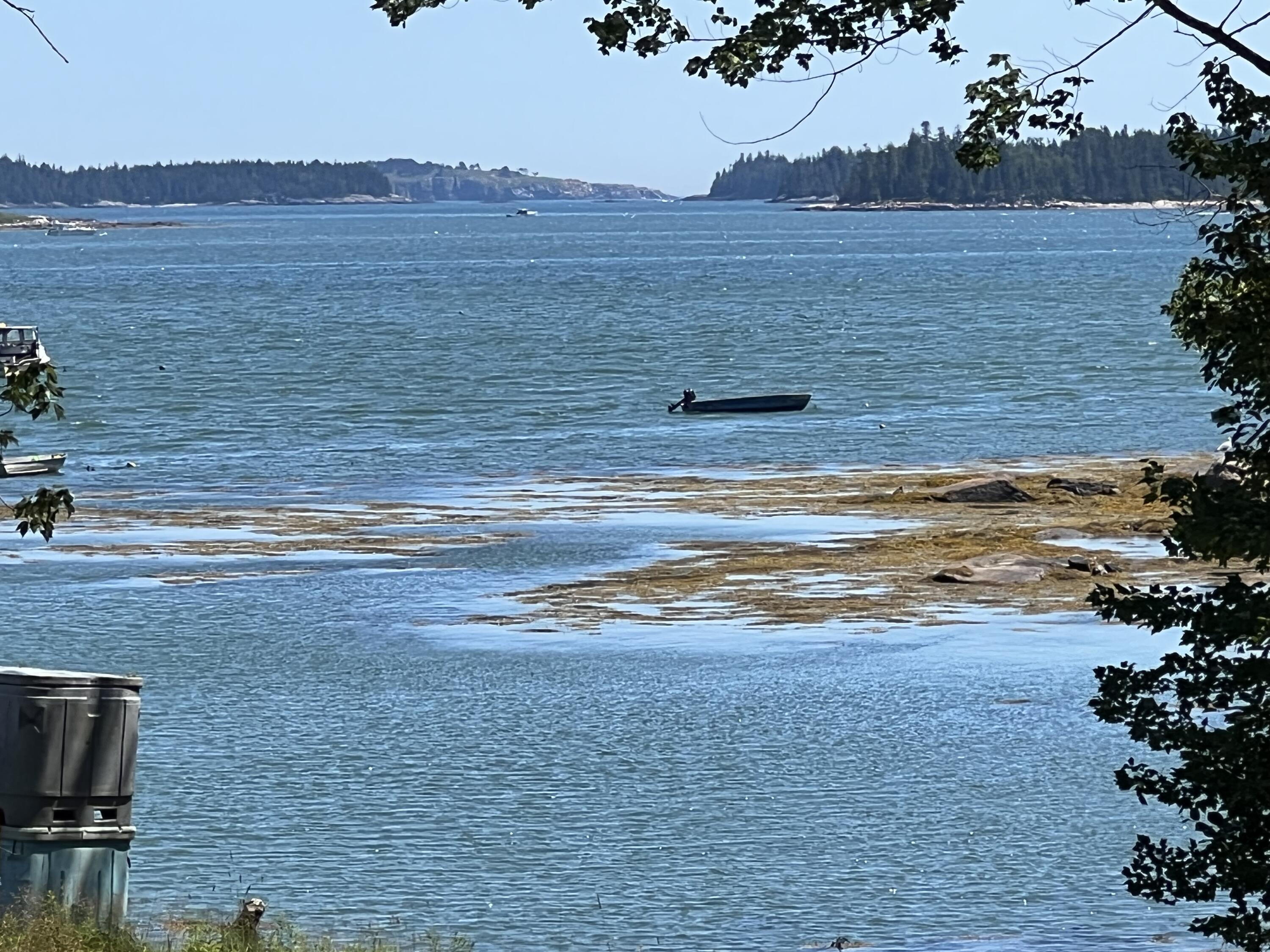 86 Back Shore Road, Steuben, ME 04680 The open ocean right around the corner with lobstering and Puffin sightings occurring.