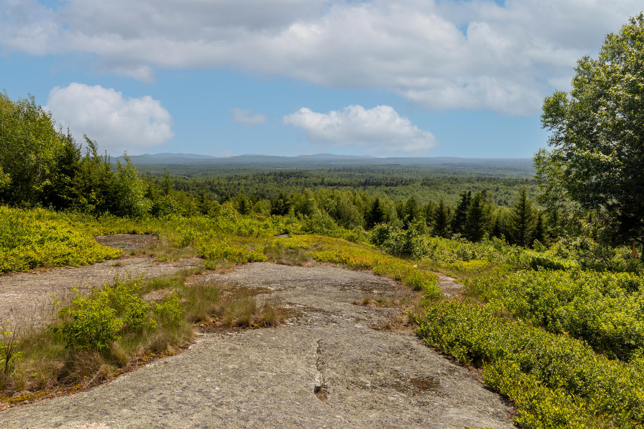 533 Mount Ephraim Map 4 Lot 63 Road, Searsport, ME, 04974