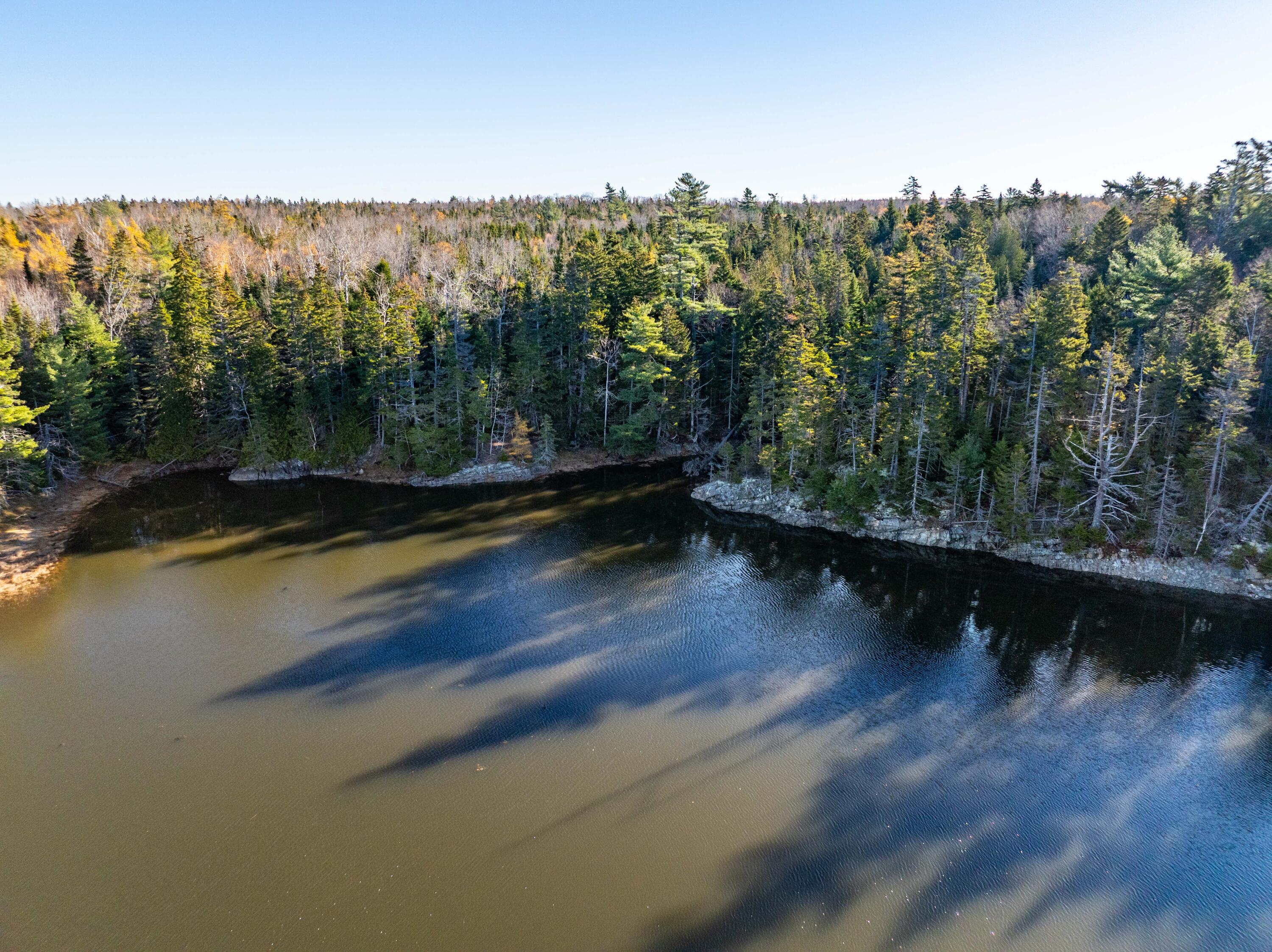01-4 WA035, Trescott Twp, ME, 04652