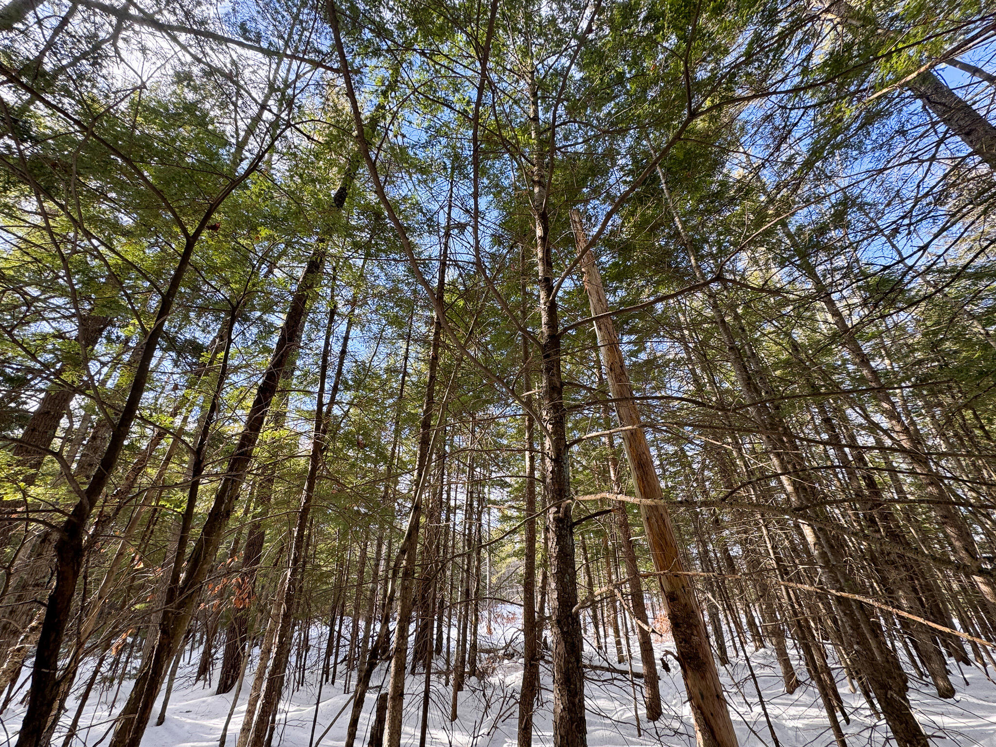 100 Sam Brown Hill Road, Brownfield, ME, 04010