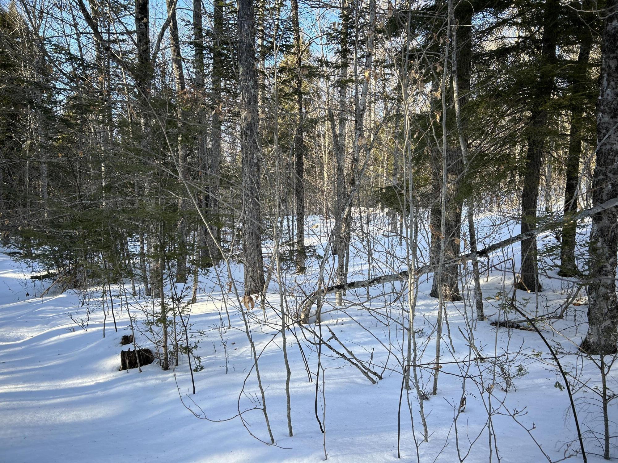 M7L22 Nelson Ridge Road N, Washington, ME, 04574