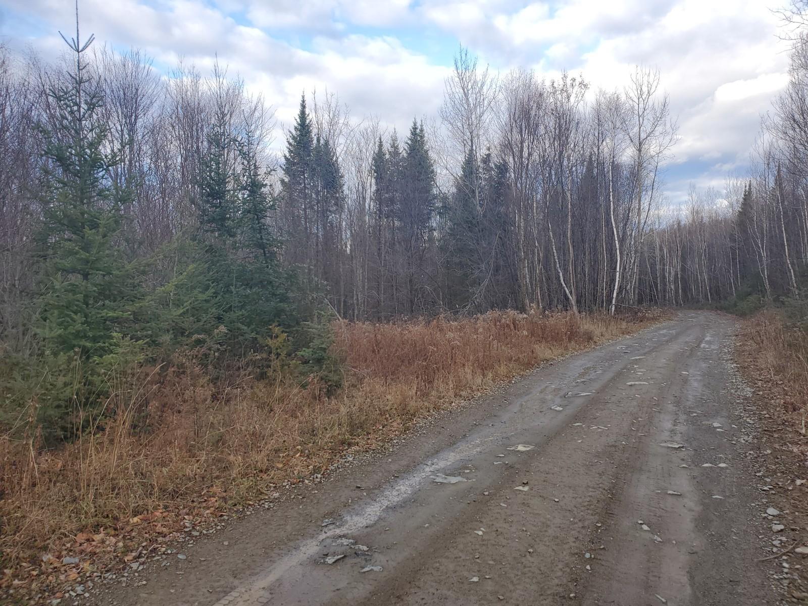 Lot 4 West of May Mountain Road, Island Falls, ME, 04747