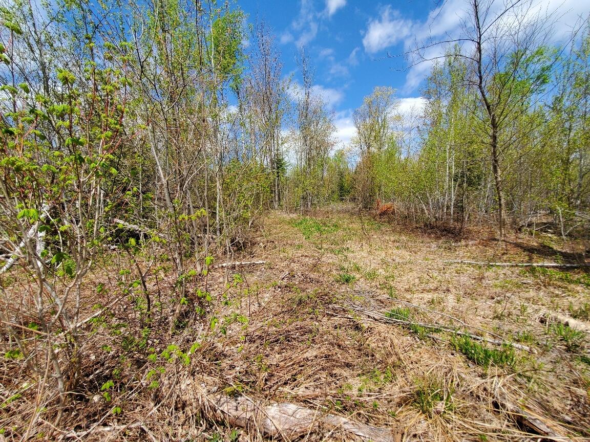 LotUNIT&nbsp;2 Cone Road, Amity, ME, 04471